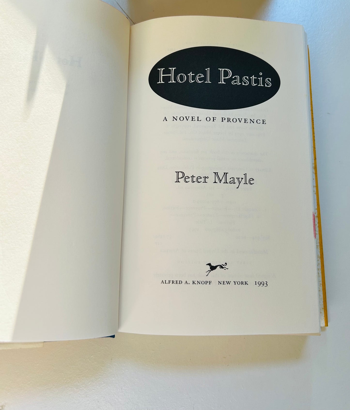 Hotel Pastis: A Novel of Provence