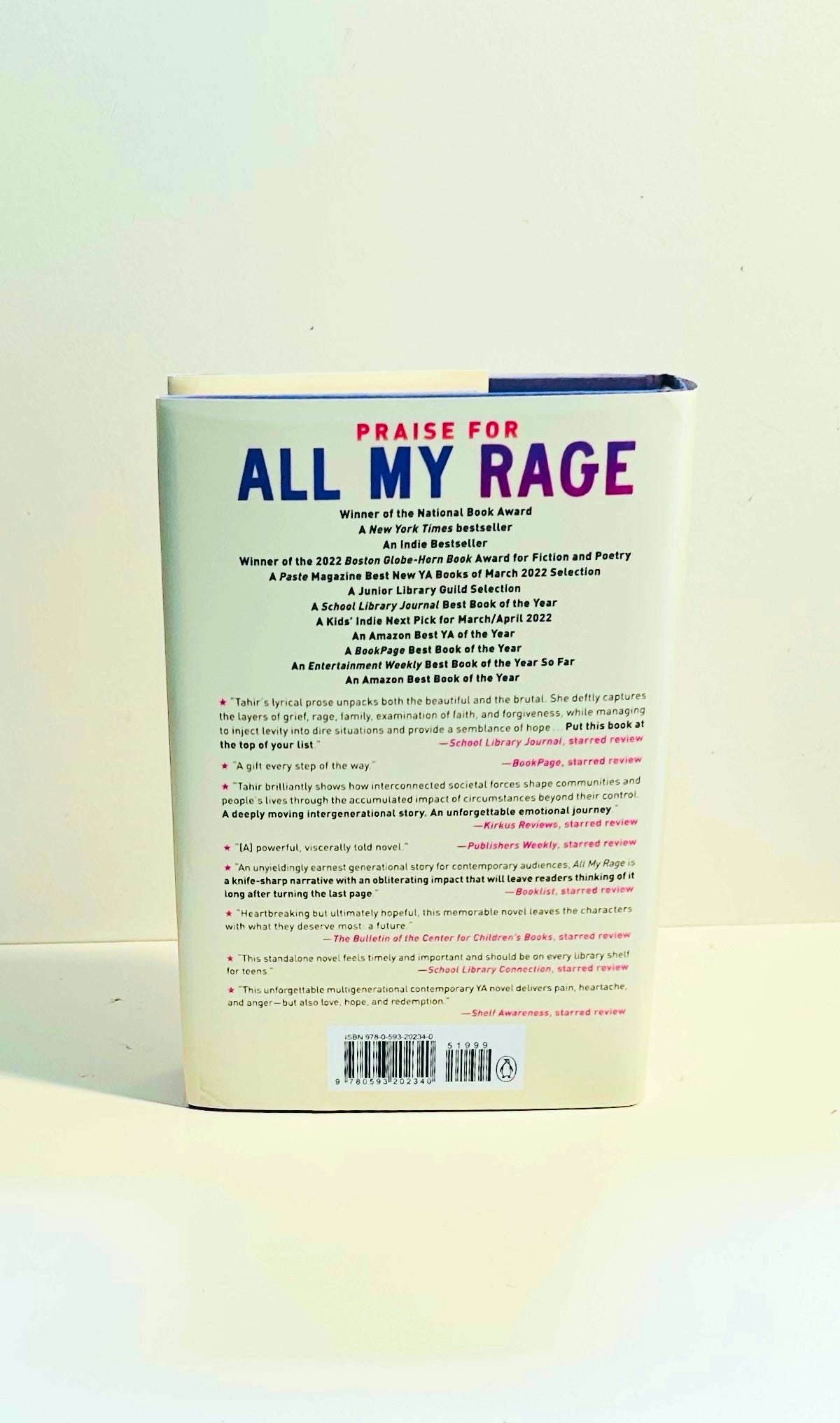 All My Rage