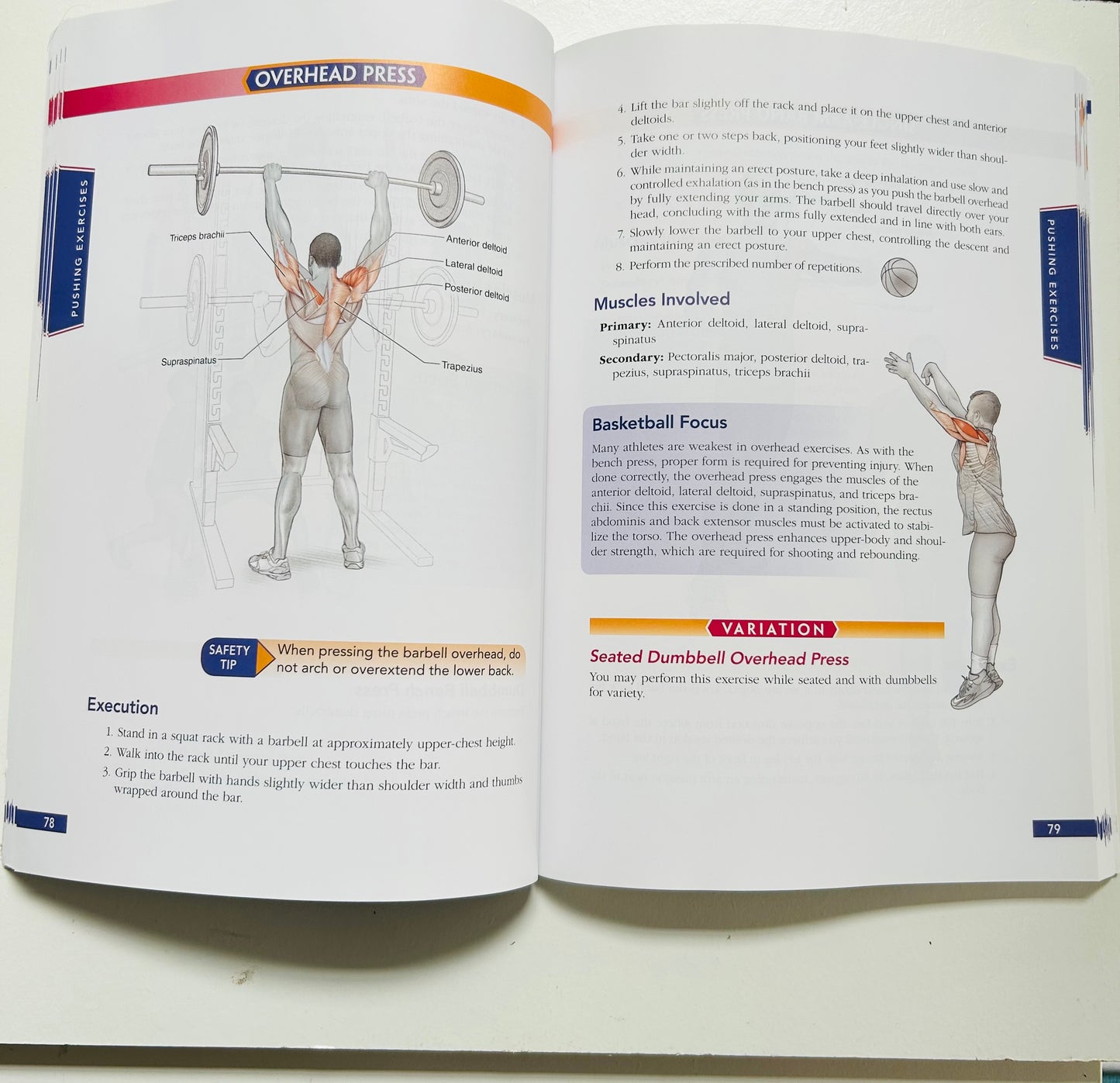 Basketball Anatomy