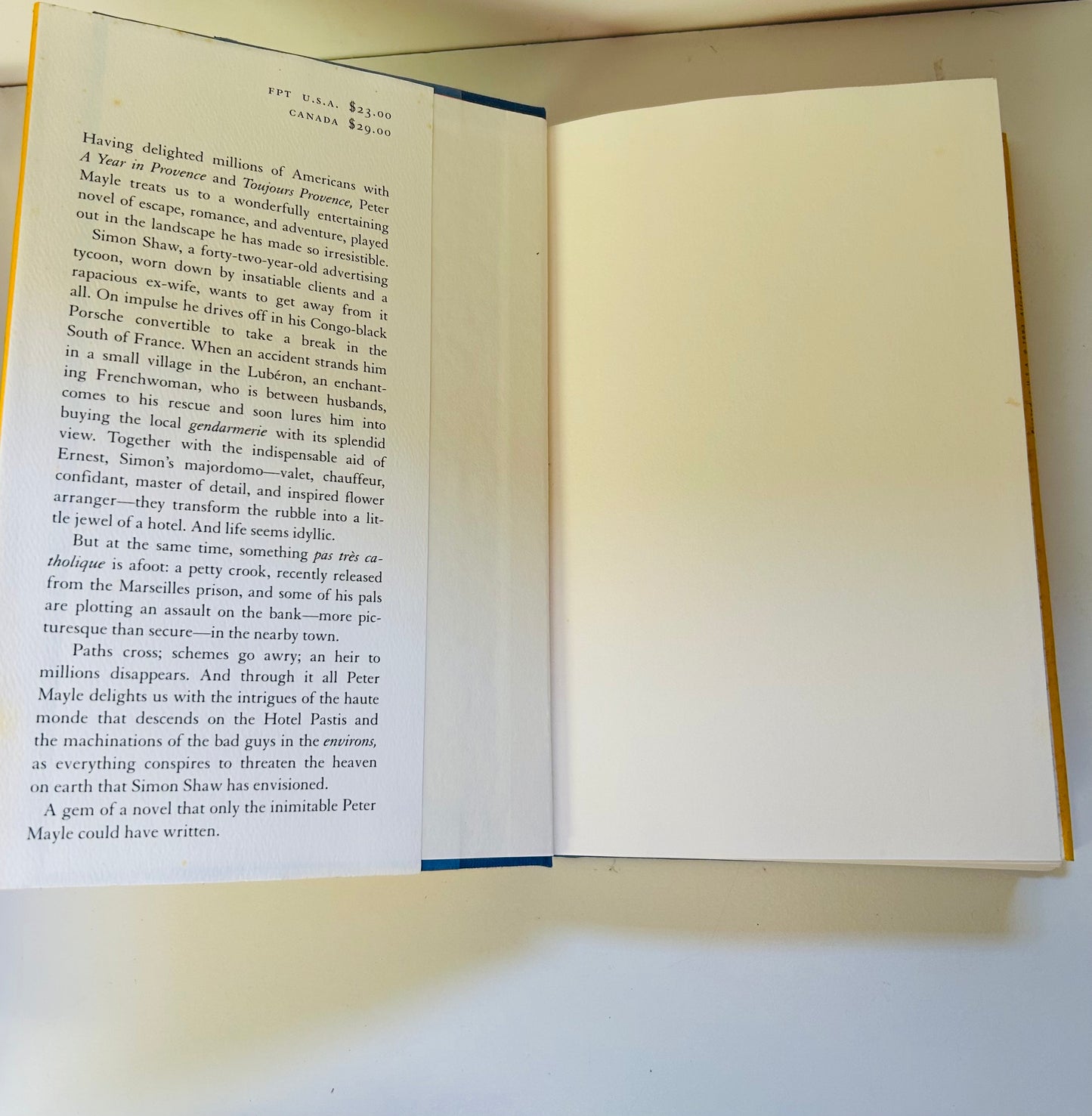 Hotel Pastis: A Novel of Provence