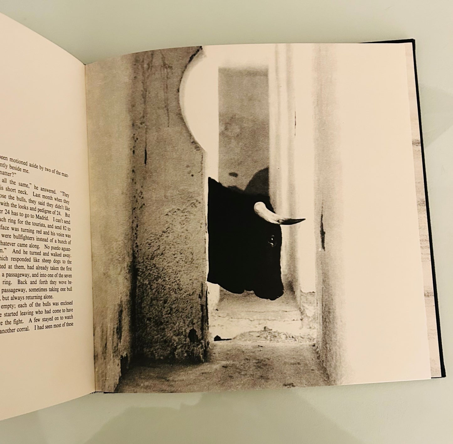 Bulls of Iberia: Life and Death of the Fighting Bull