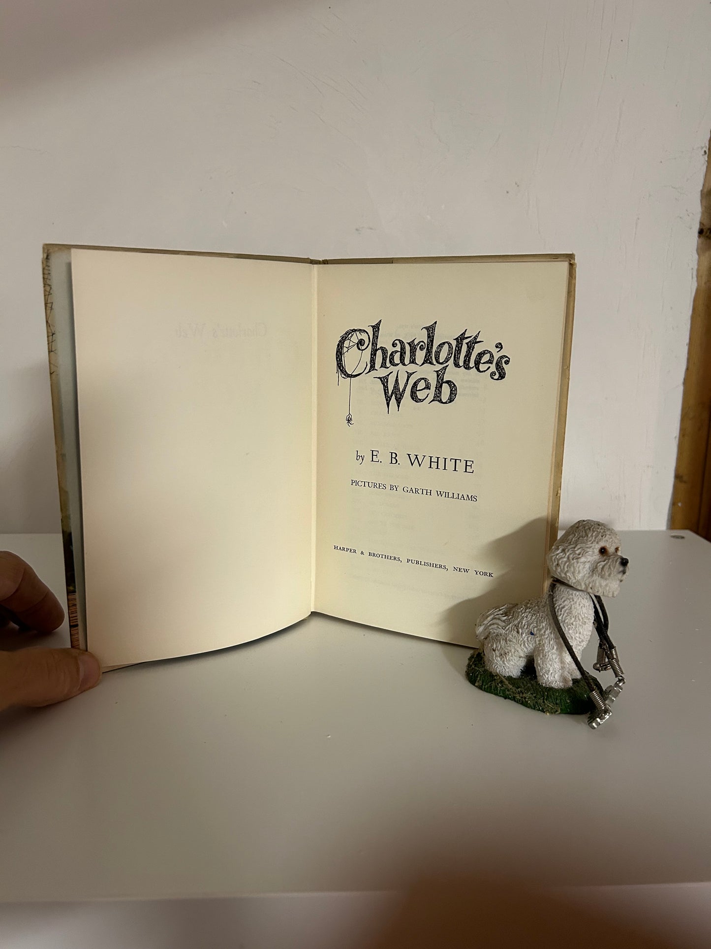 Charlotte's Web