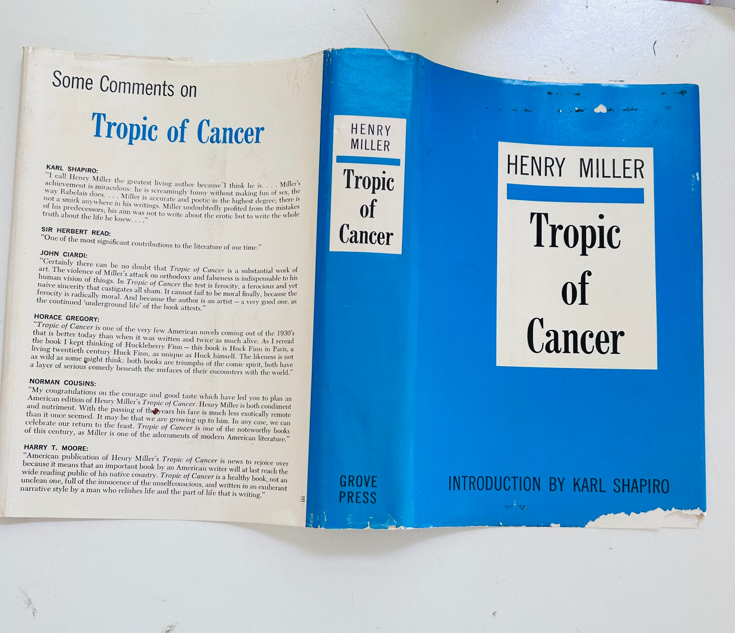 Tropic of Cancer