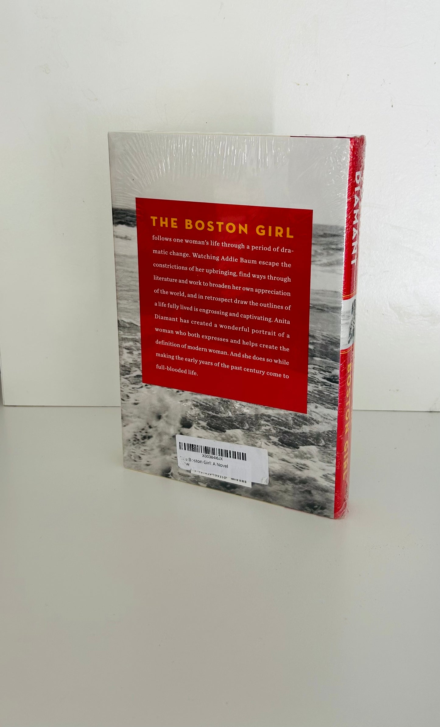 The Boston Girl