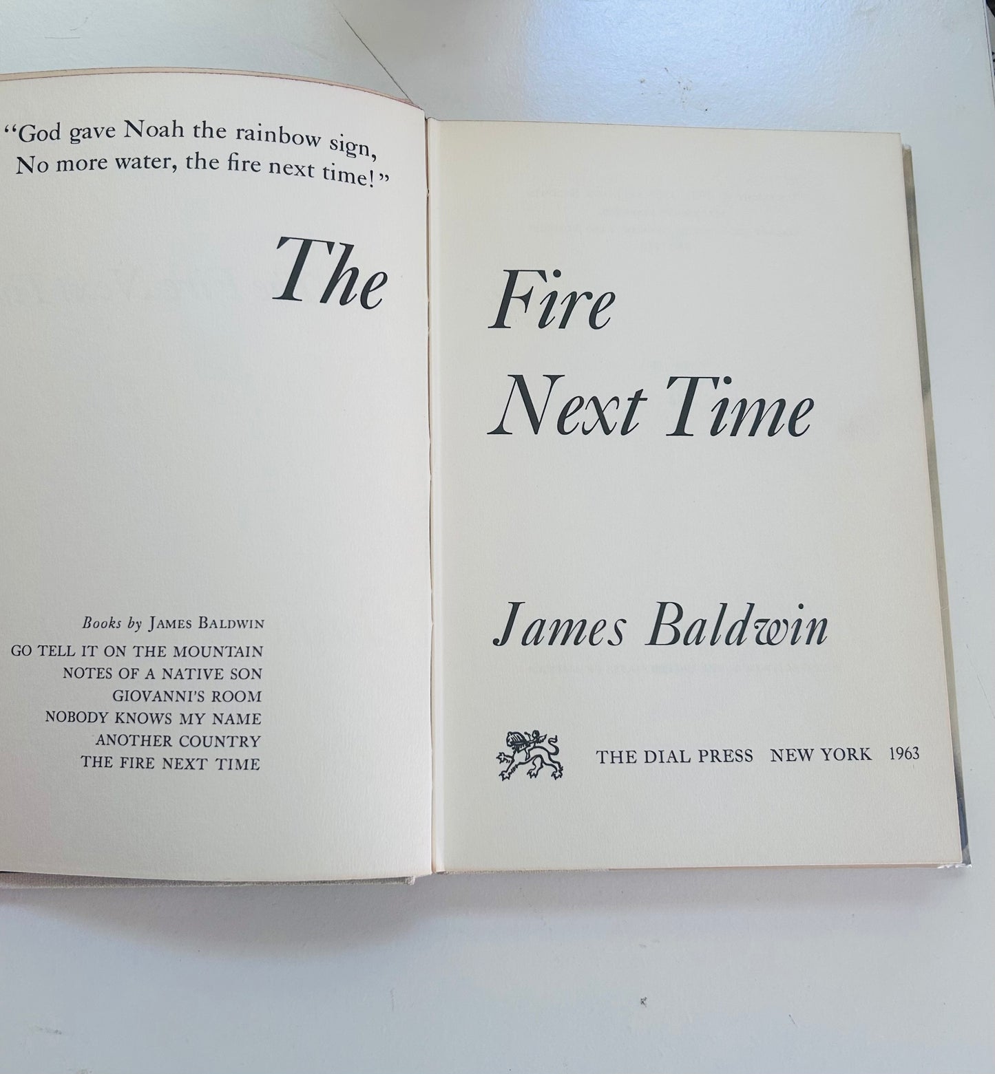 The Fire Next Time