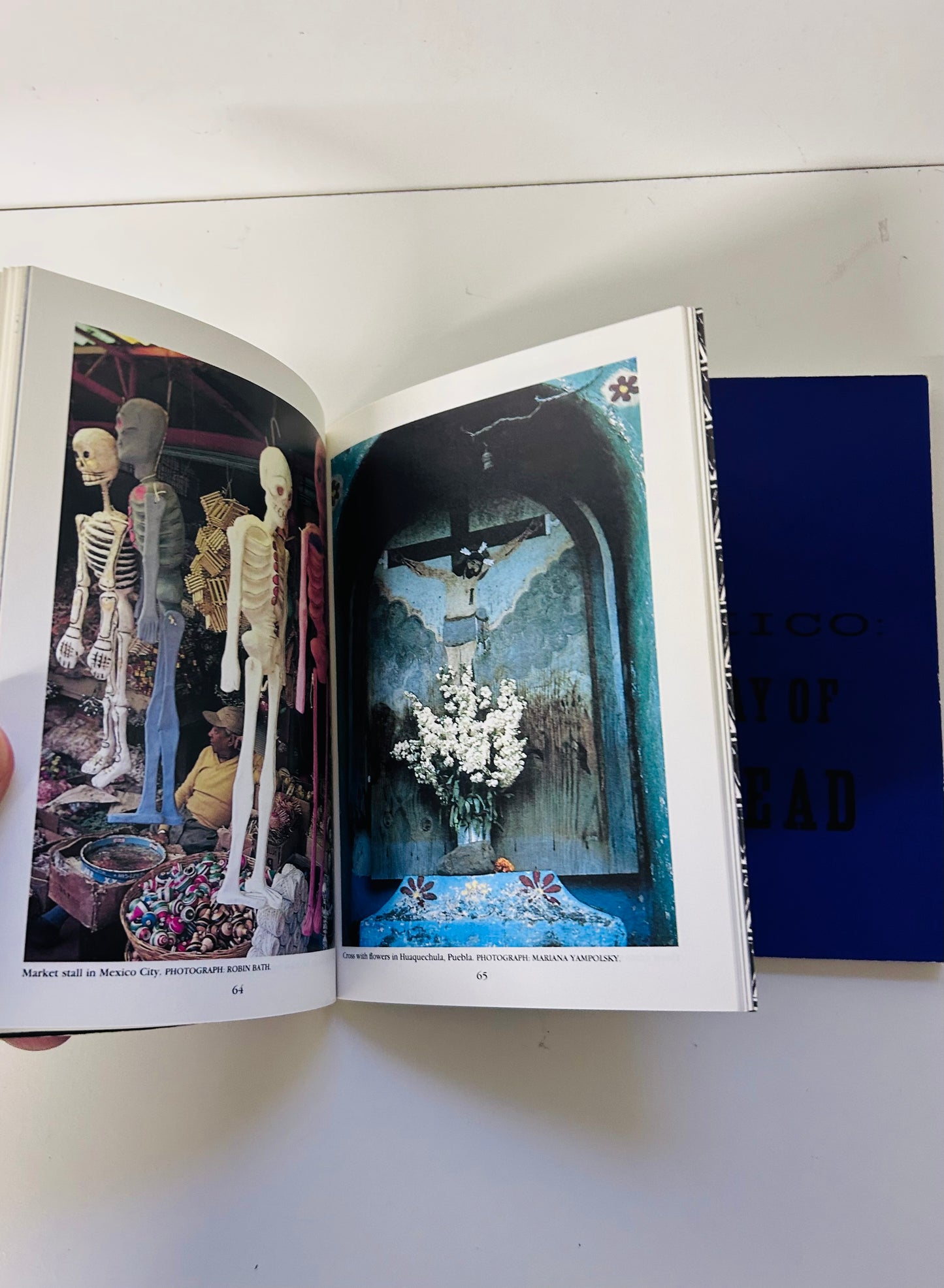 Mexico: The Day of the Dead. An Anthology