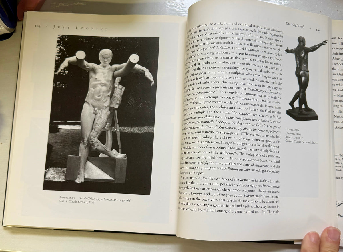 Just Looking: Essays on Art