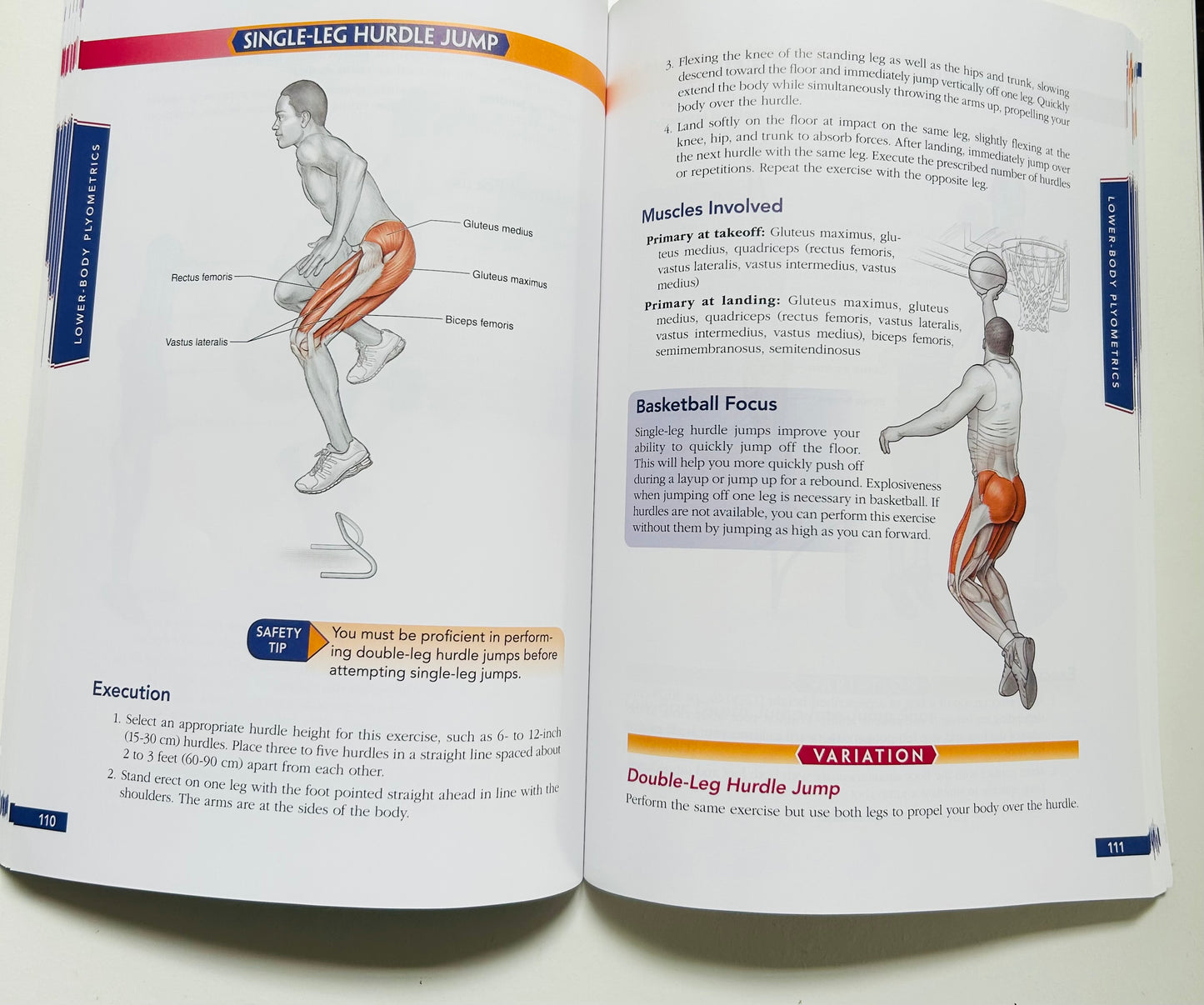 Basketball Anatomy