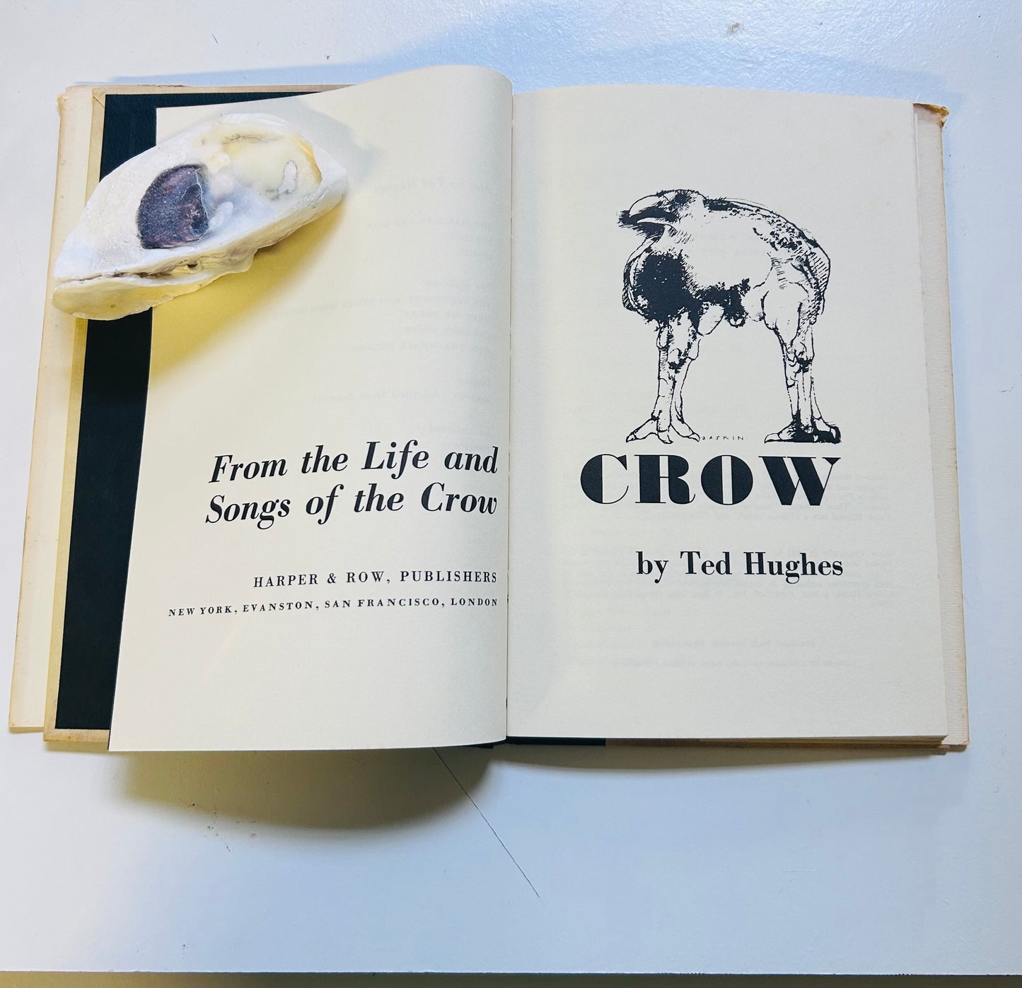 Crow: From the Life and Songs of the Crow