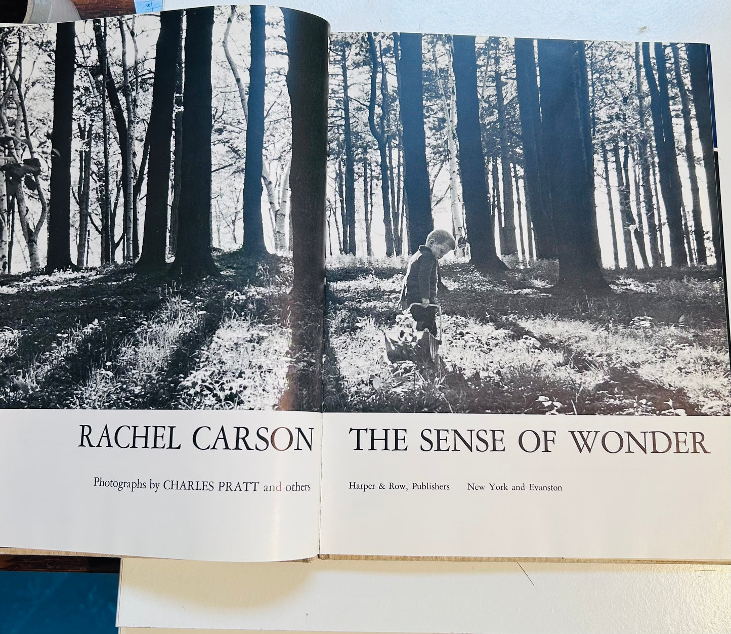 The Sense of Wonder