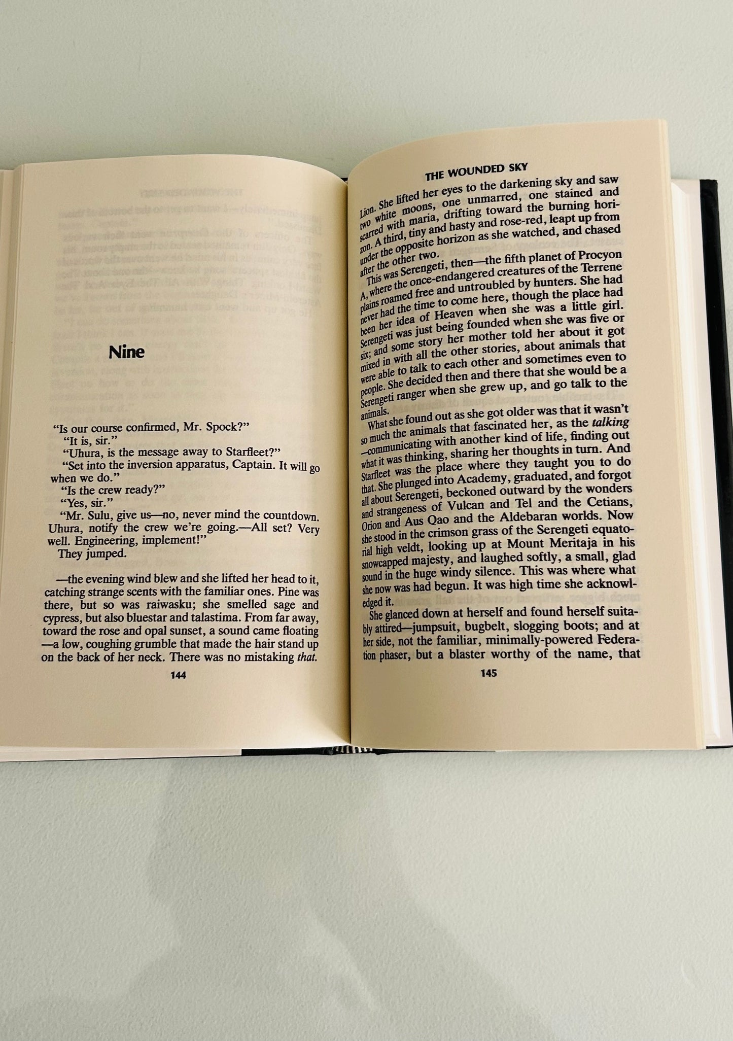 Star Trek: The Wounded Sky