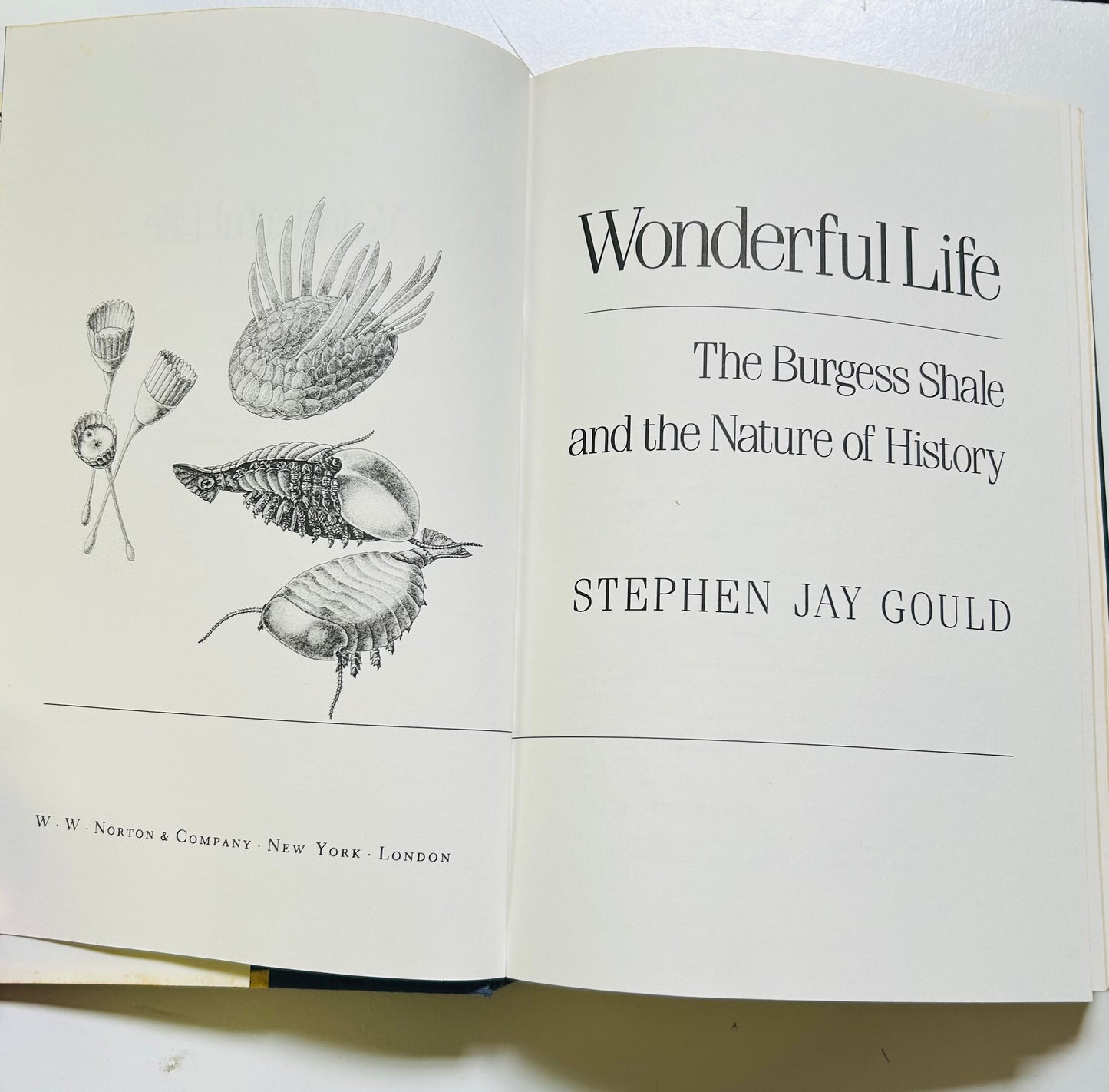 Wonderful Life: The Burgess Shale and the Nature of History
