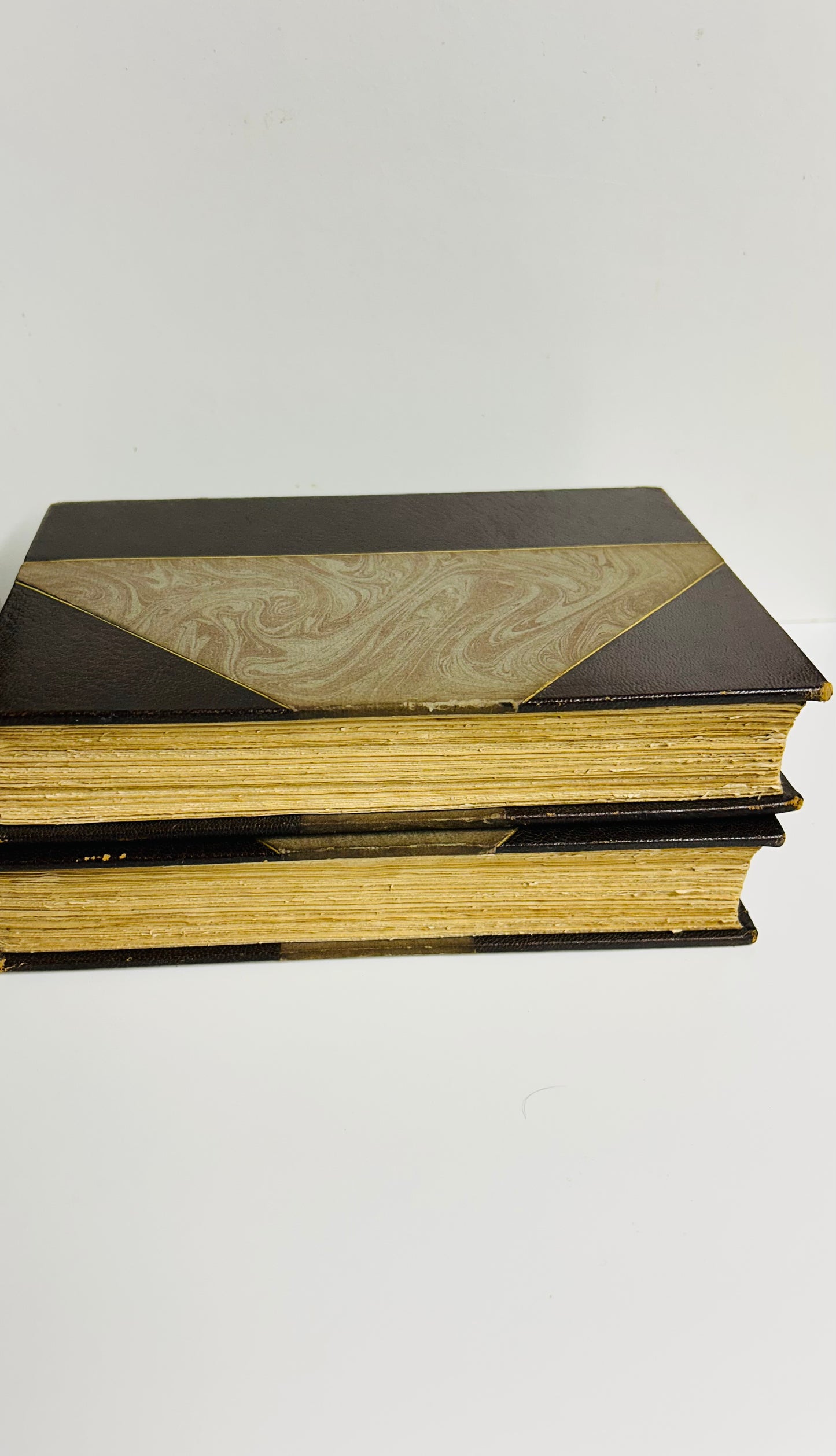 The Antiquary and The Black Dwarf (2 vol.)