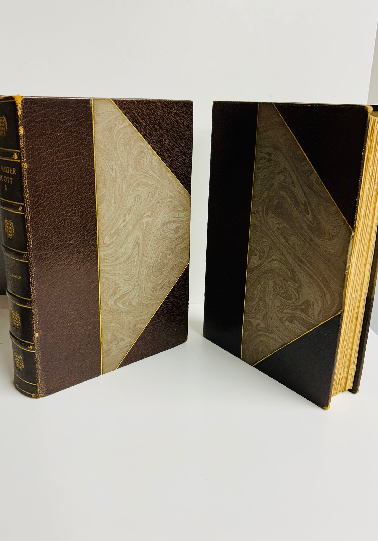 The Antiquary and The Black Dwarf (2 vol.)