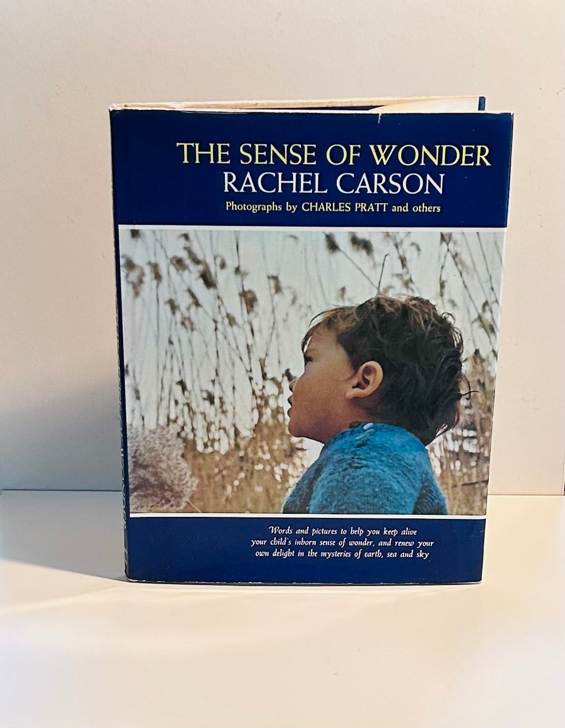 The Sense of Wonder