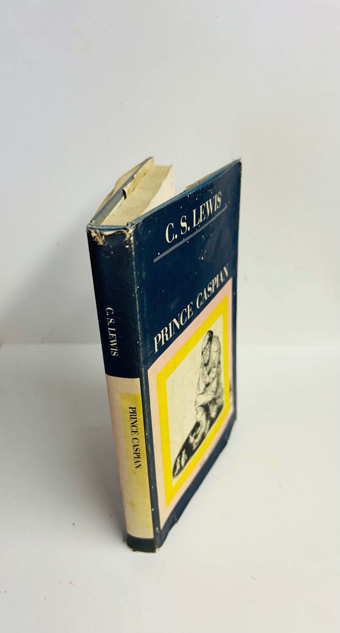 Prince Caspian: The Return to Narnia