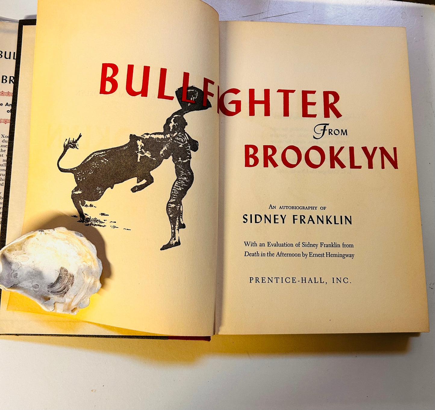 Bullfighter From Brooklyn