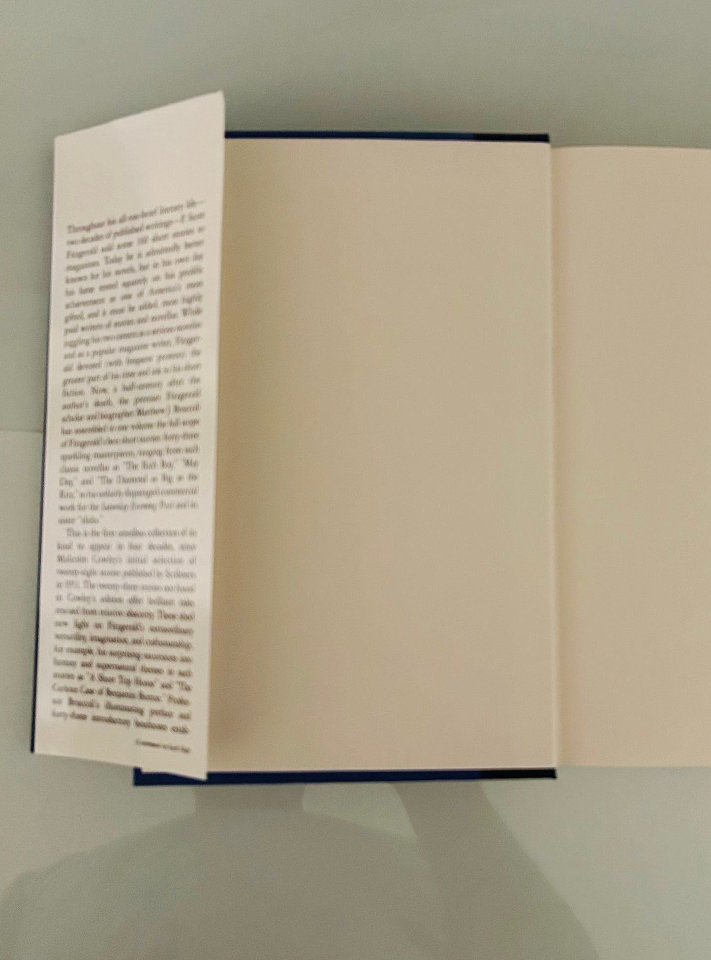 The Short Stories of F.Scott Fitzgerald