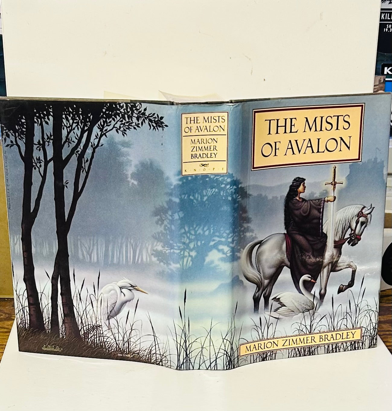 The Mists of Avalon