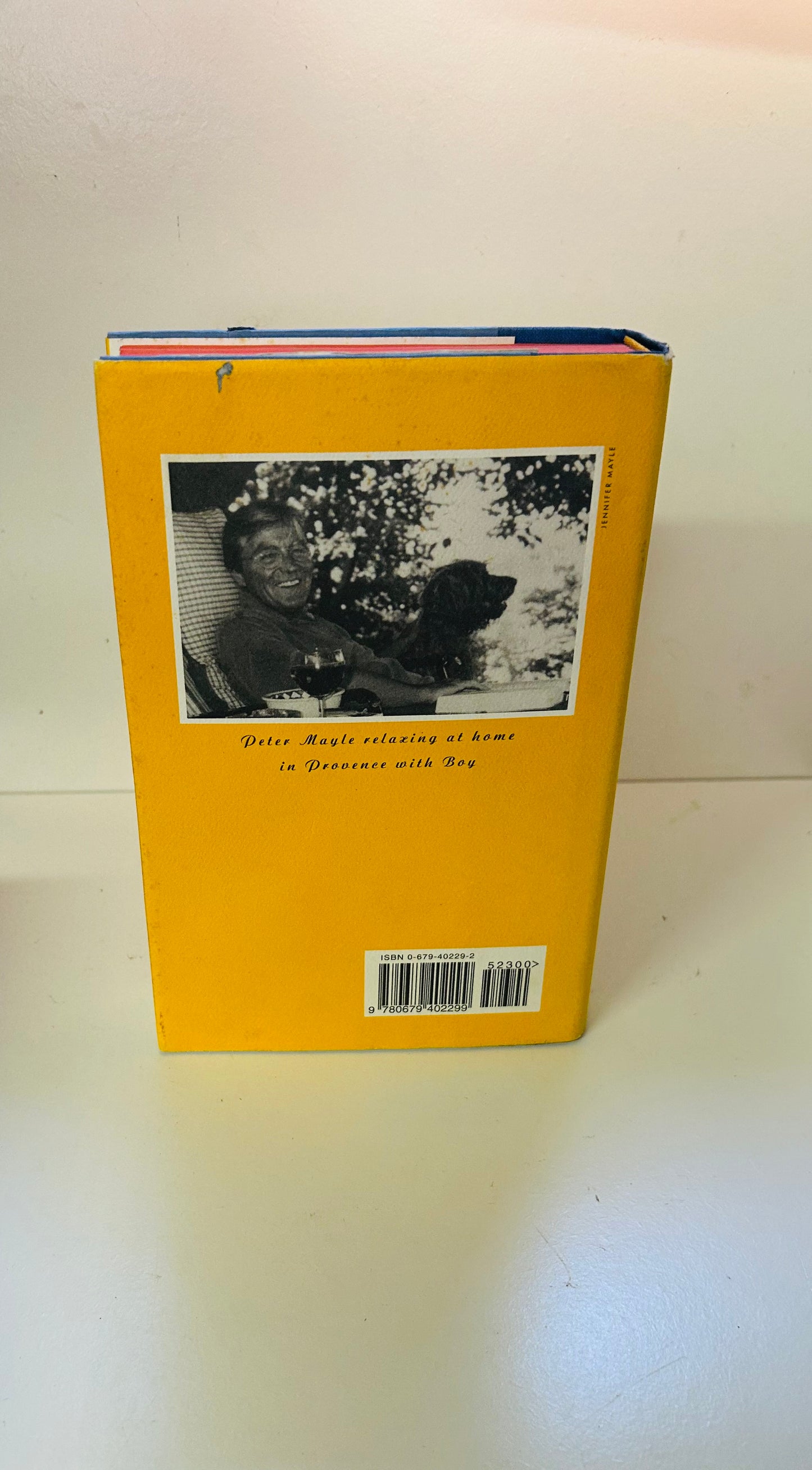 Hotel Pastis: A Novel of Provence