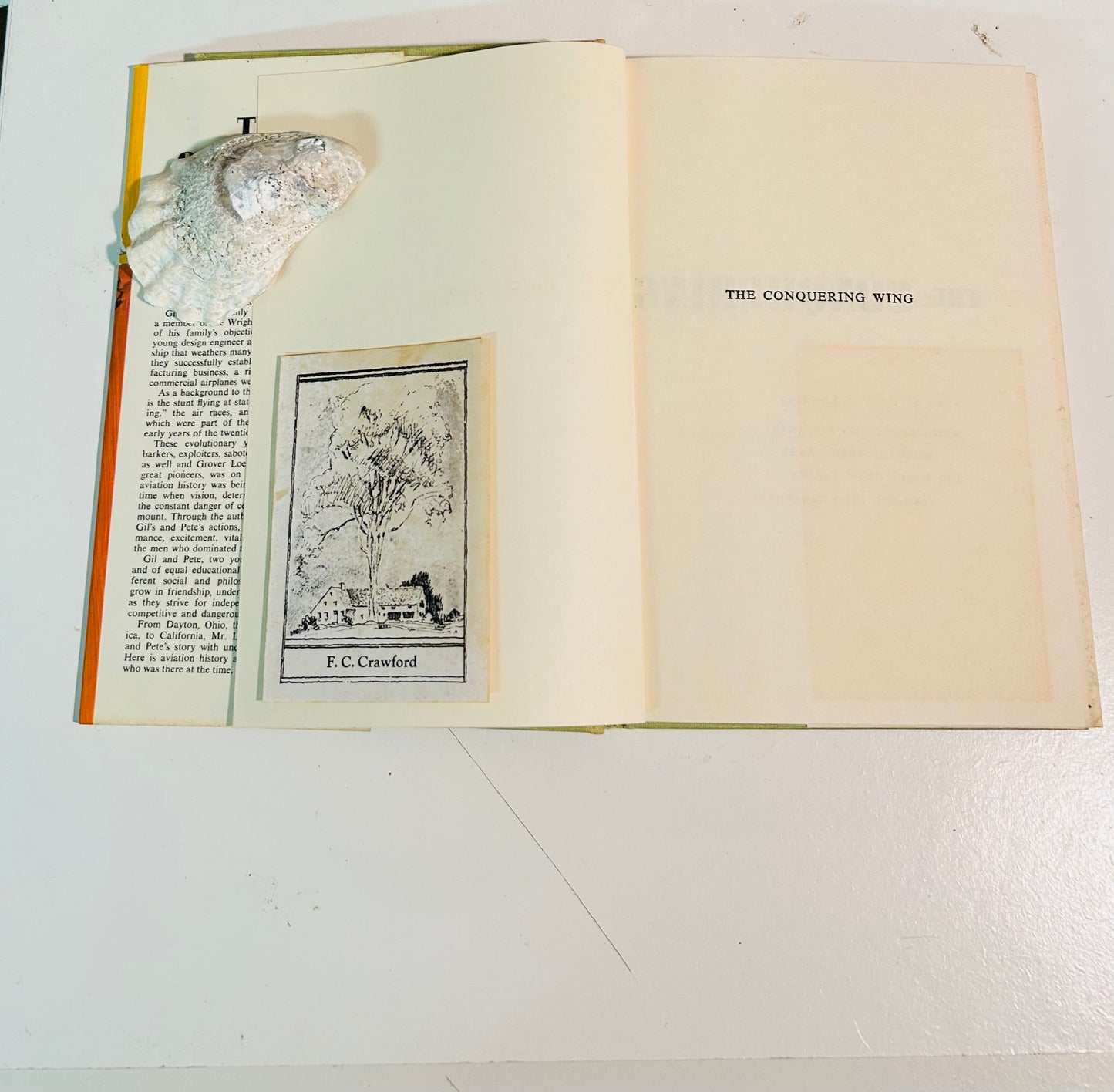 The Conquering Wing (signed copy)