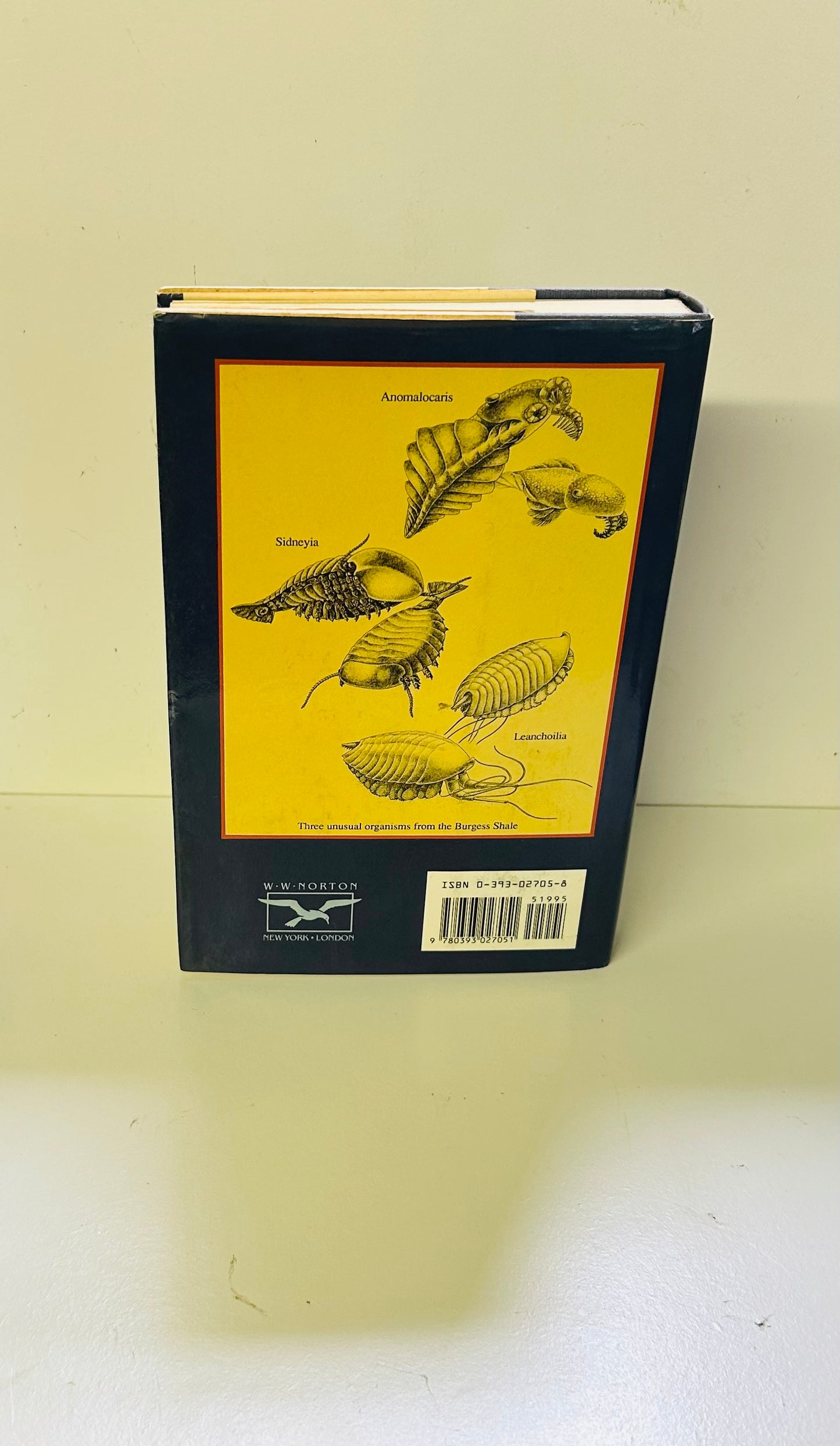 Wonderful Life: The Burgess Shale and the Nature of History