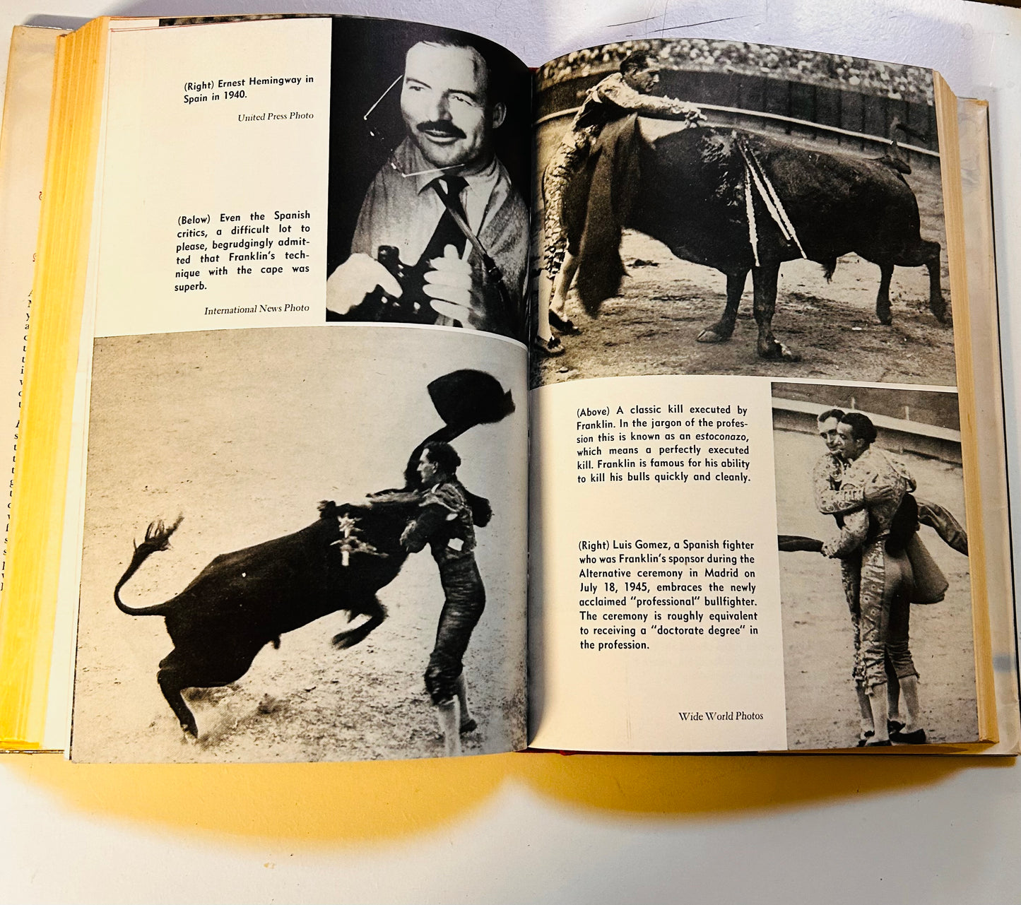 Bullfighter From Brooklyn
