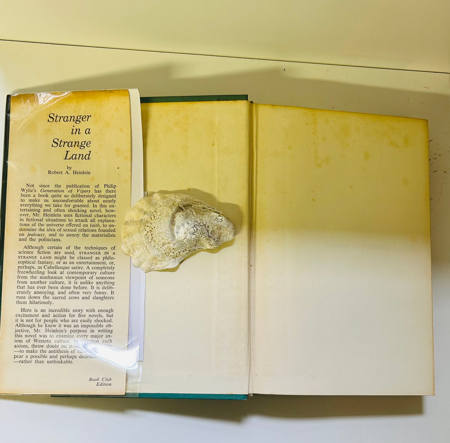 Stranger in a Strange Land