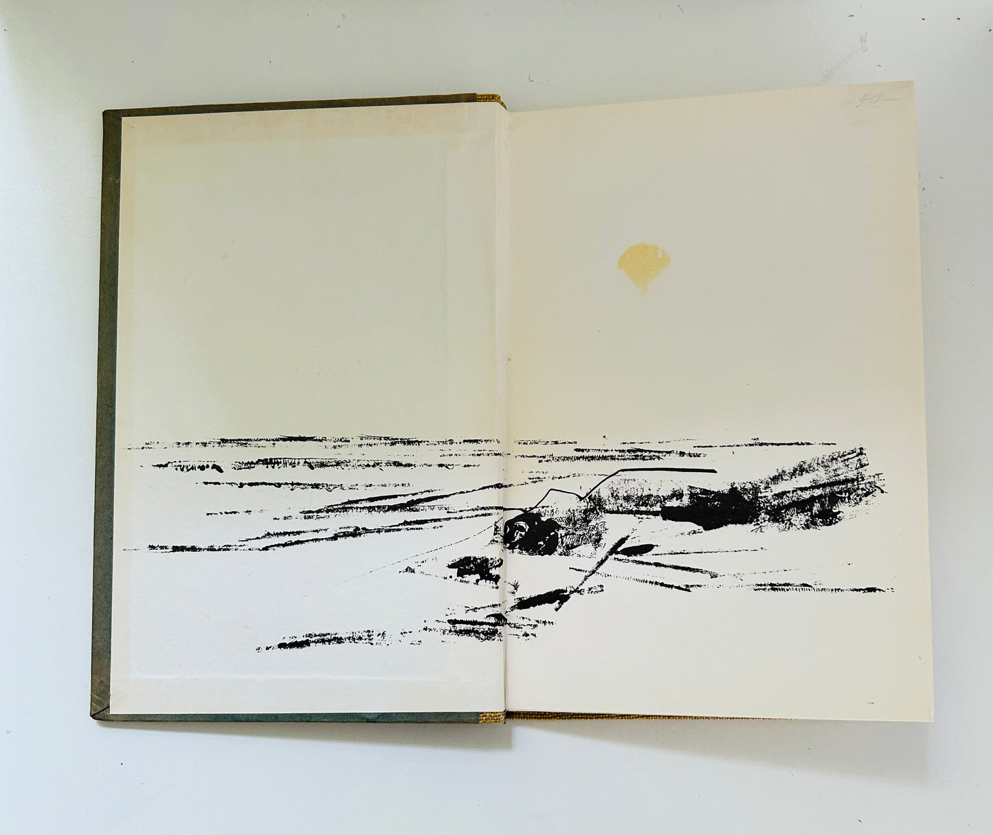 Wonderstrand Revisited