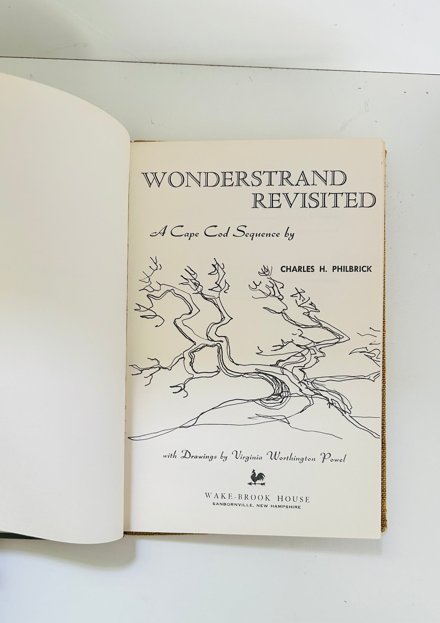 Wonderstrand Revisited