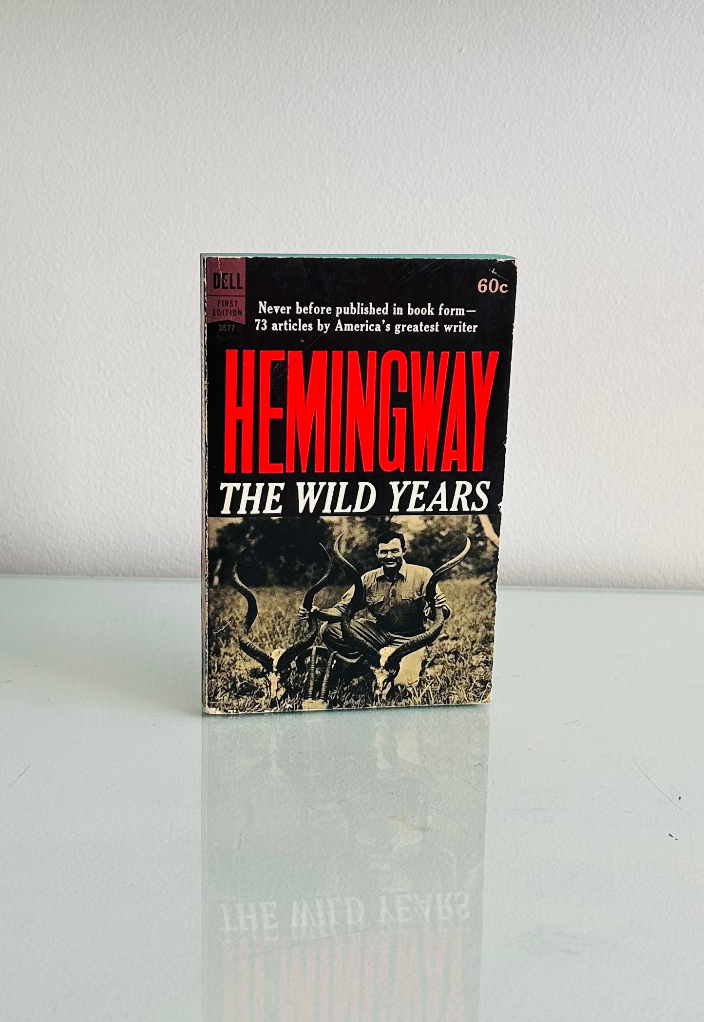 The Wild Years