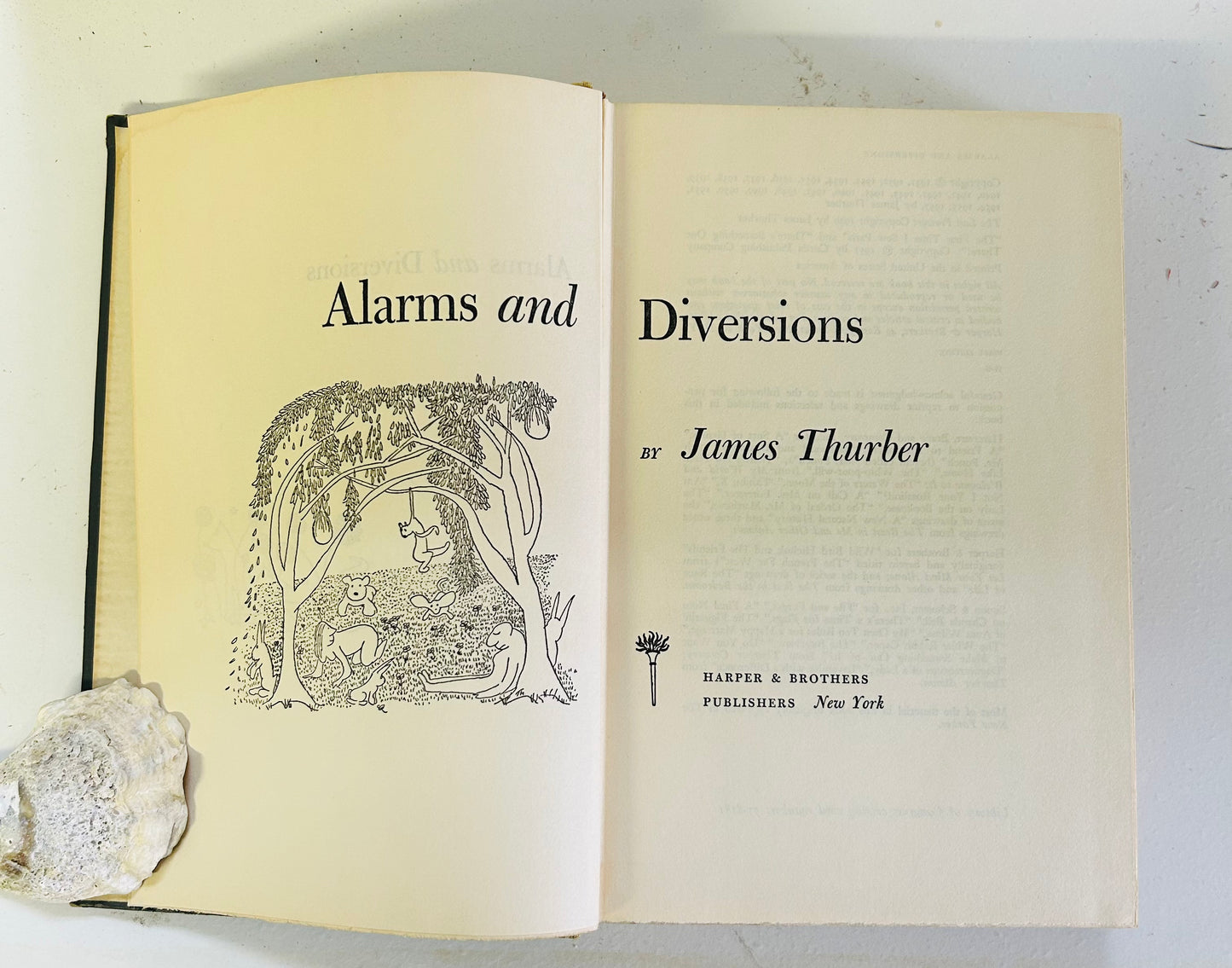 Alarms and Diversions