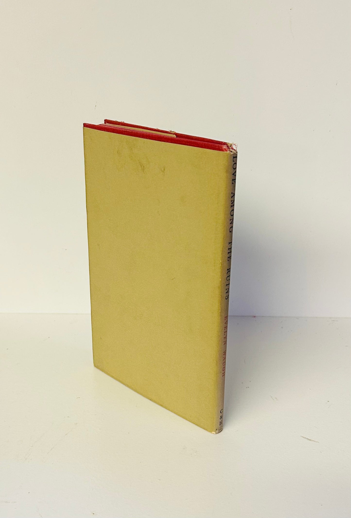 Love Among the Ruins