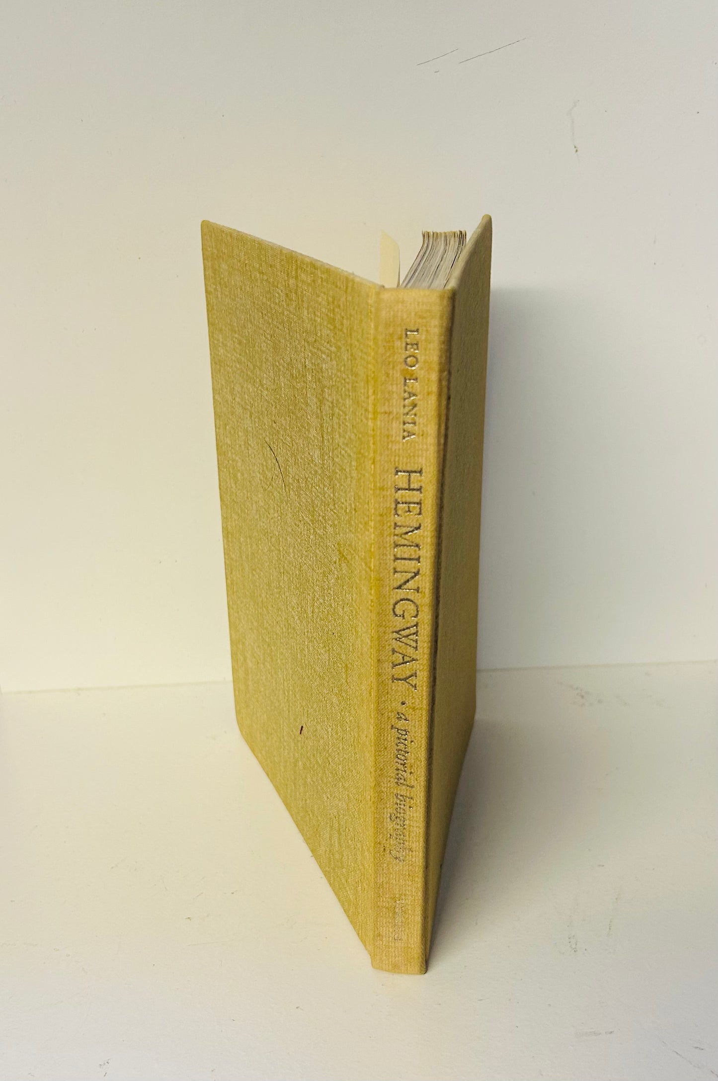 Hemingway: A Pictorial Biography