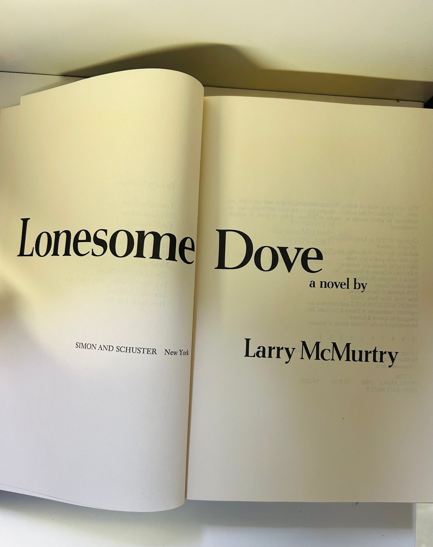 Lonesome Dove