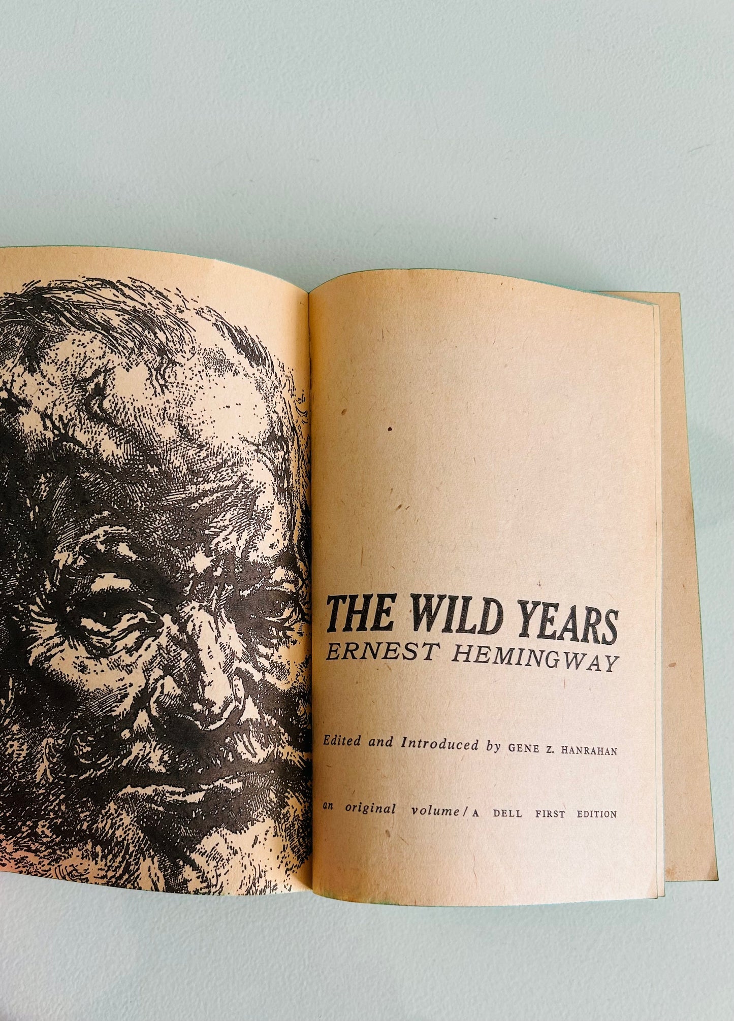 The Wild Years