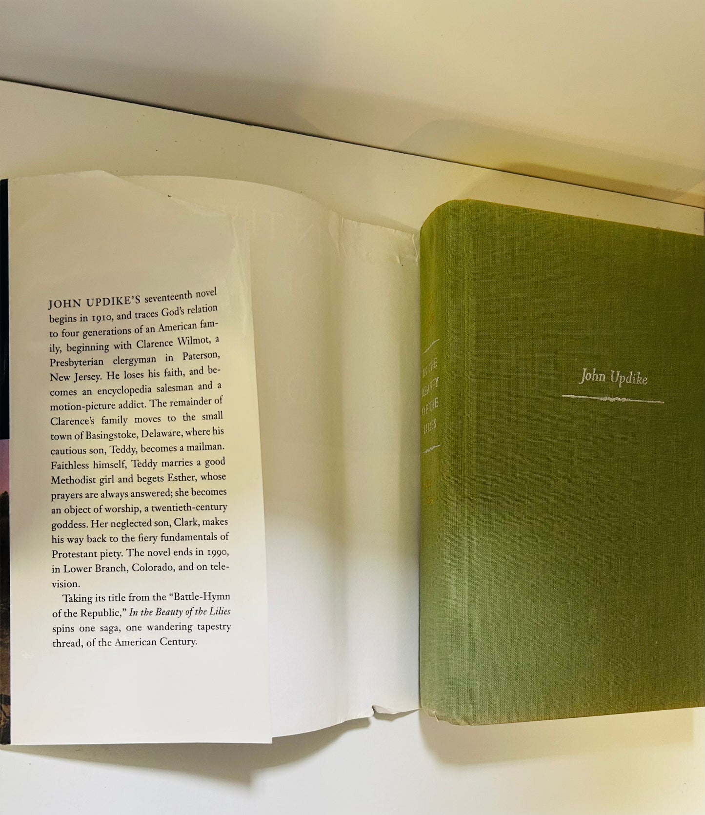 The Beauty of the Lilies