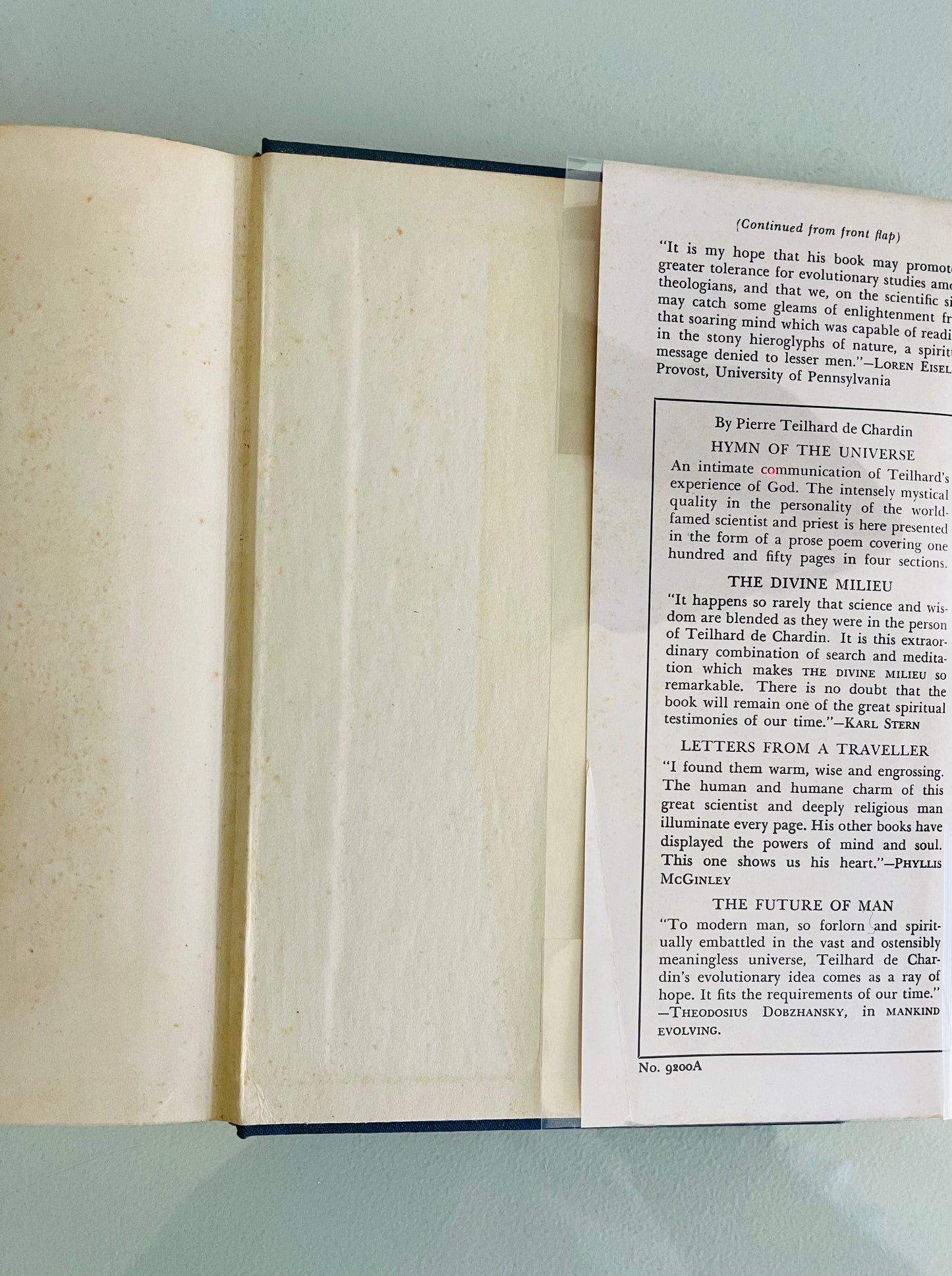 人的现象(已售)