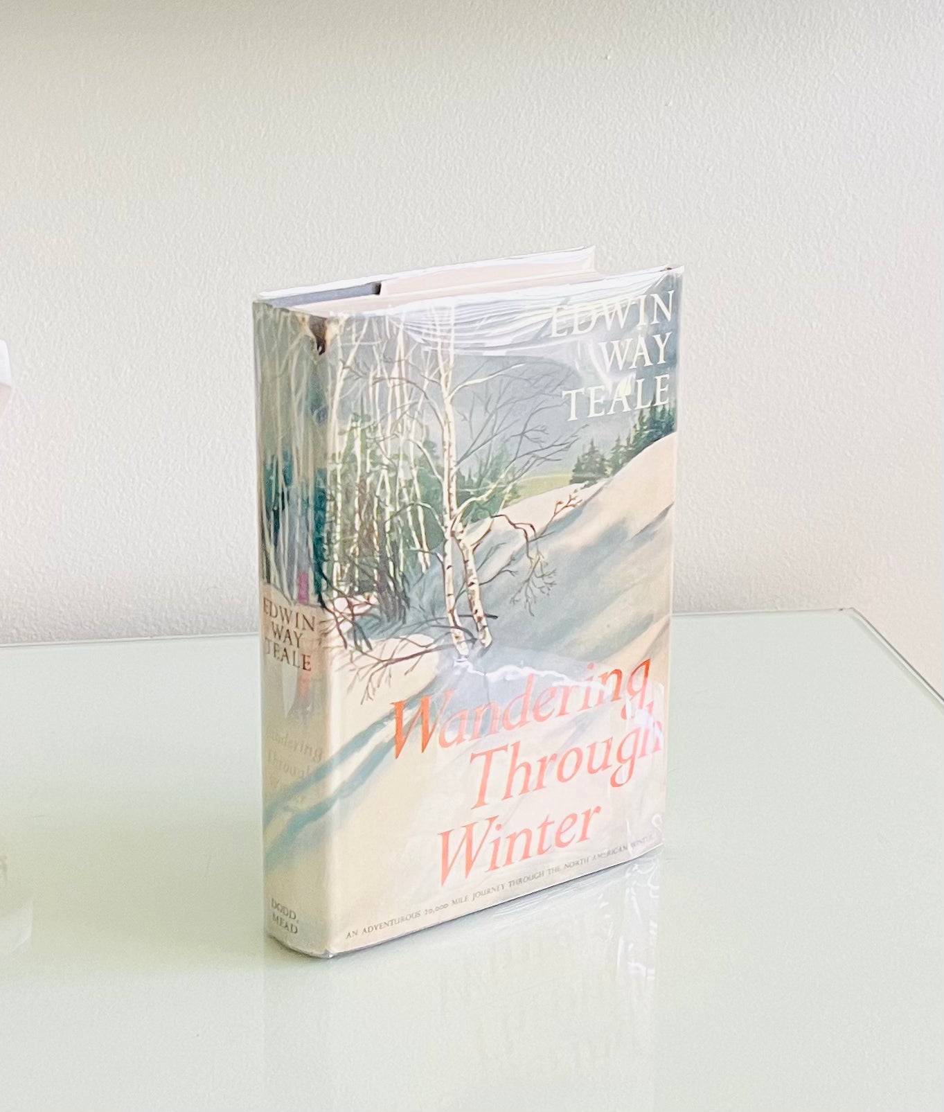 Wandering Through Winter