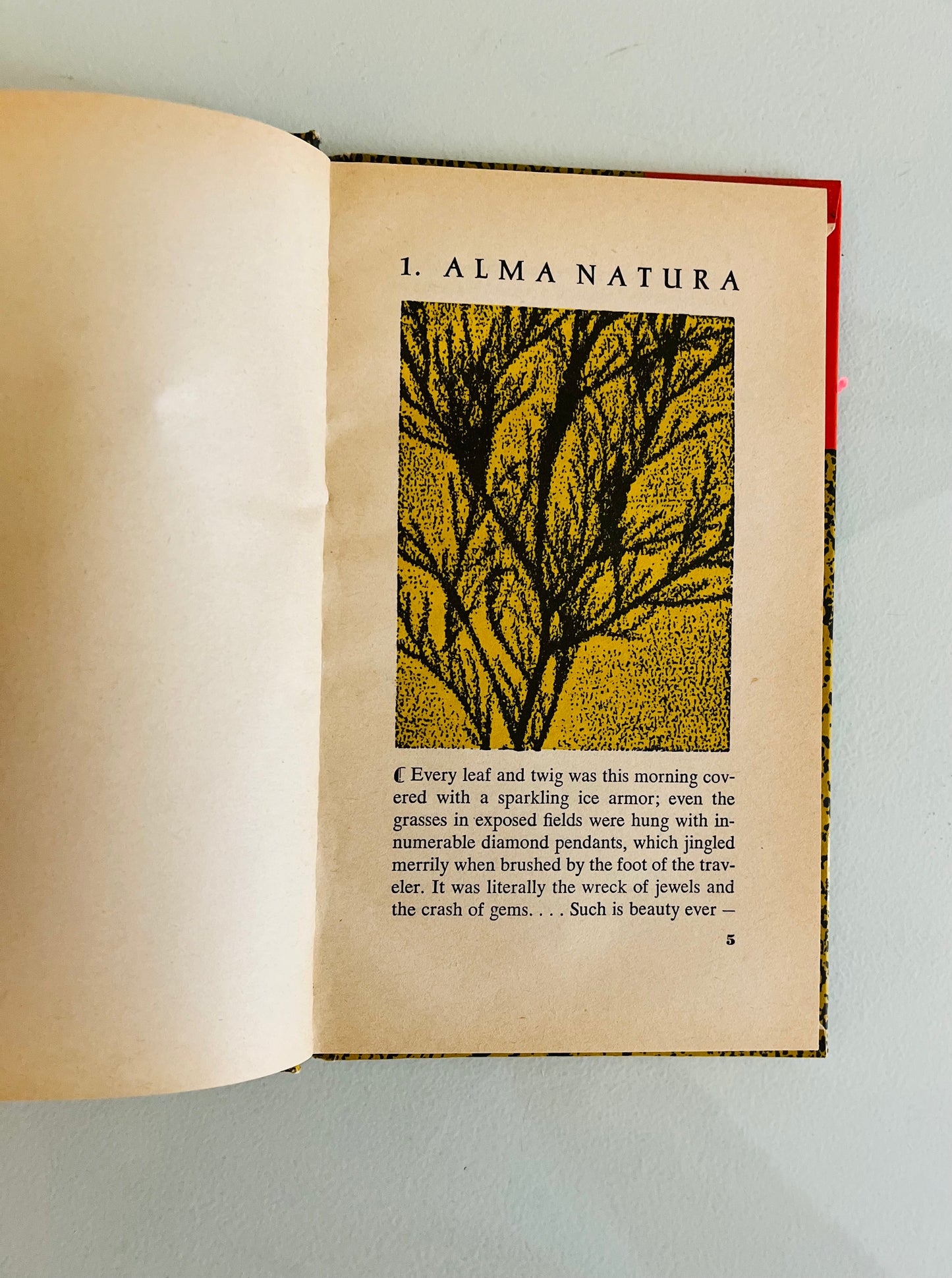 梭罗论人与自然