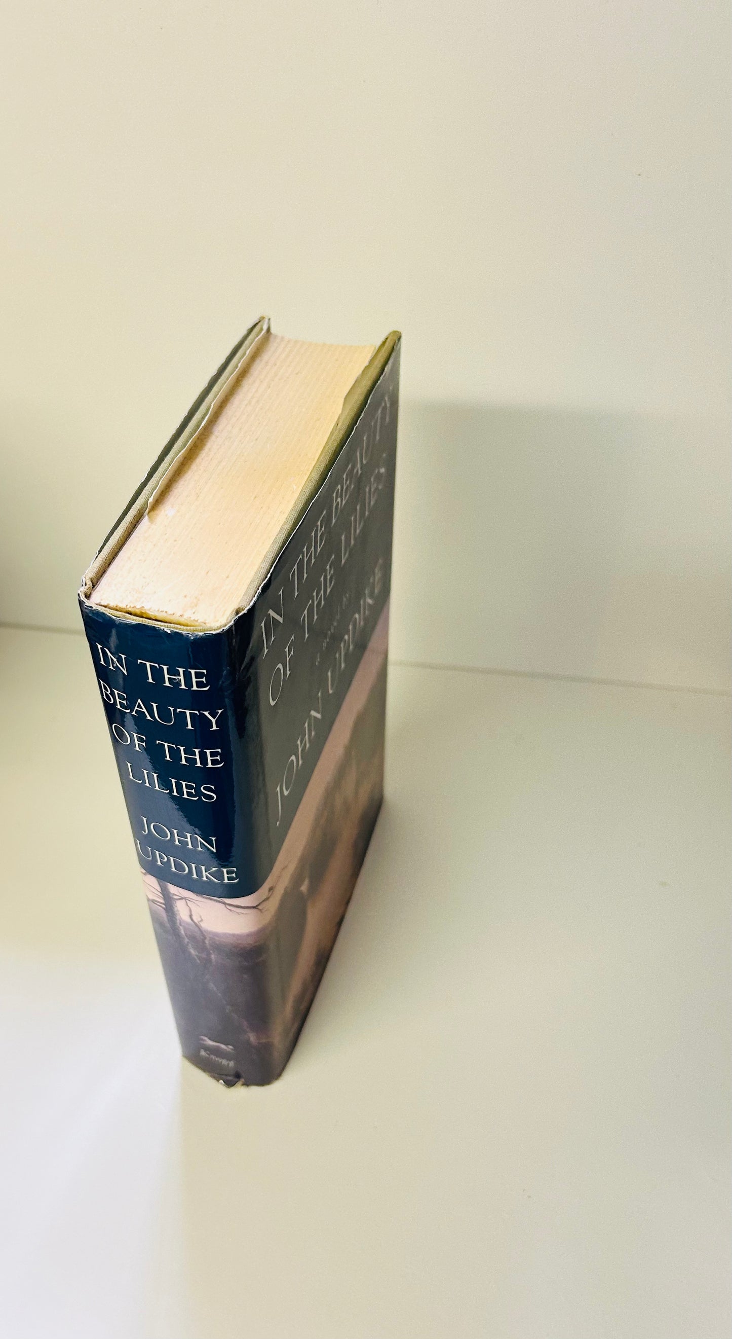 The Beauty of the Lilies