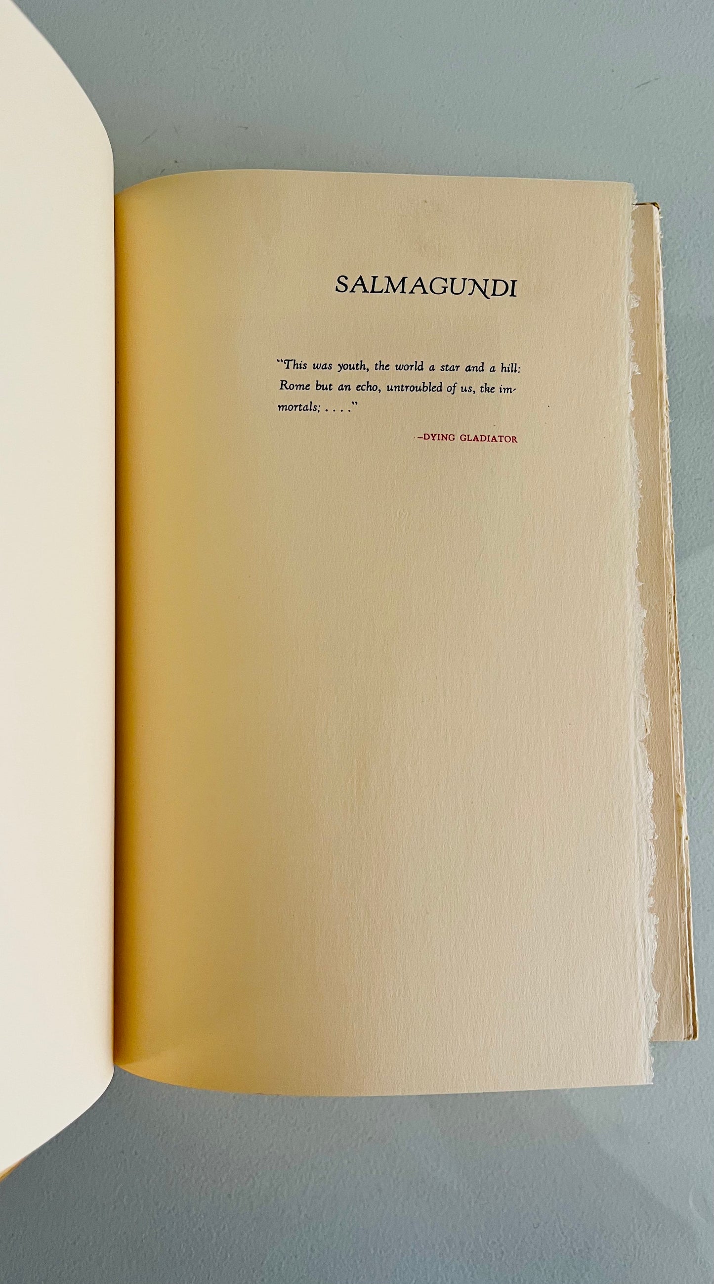 Salmagundi