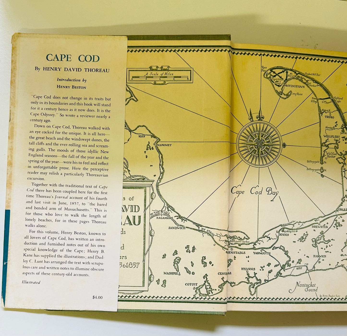 Cape Cod