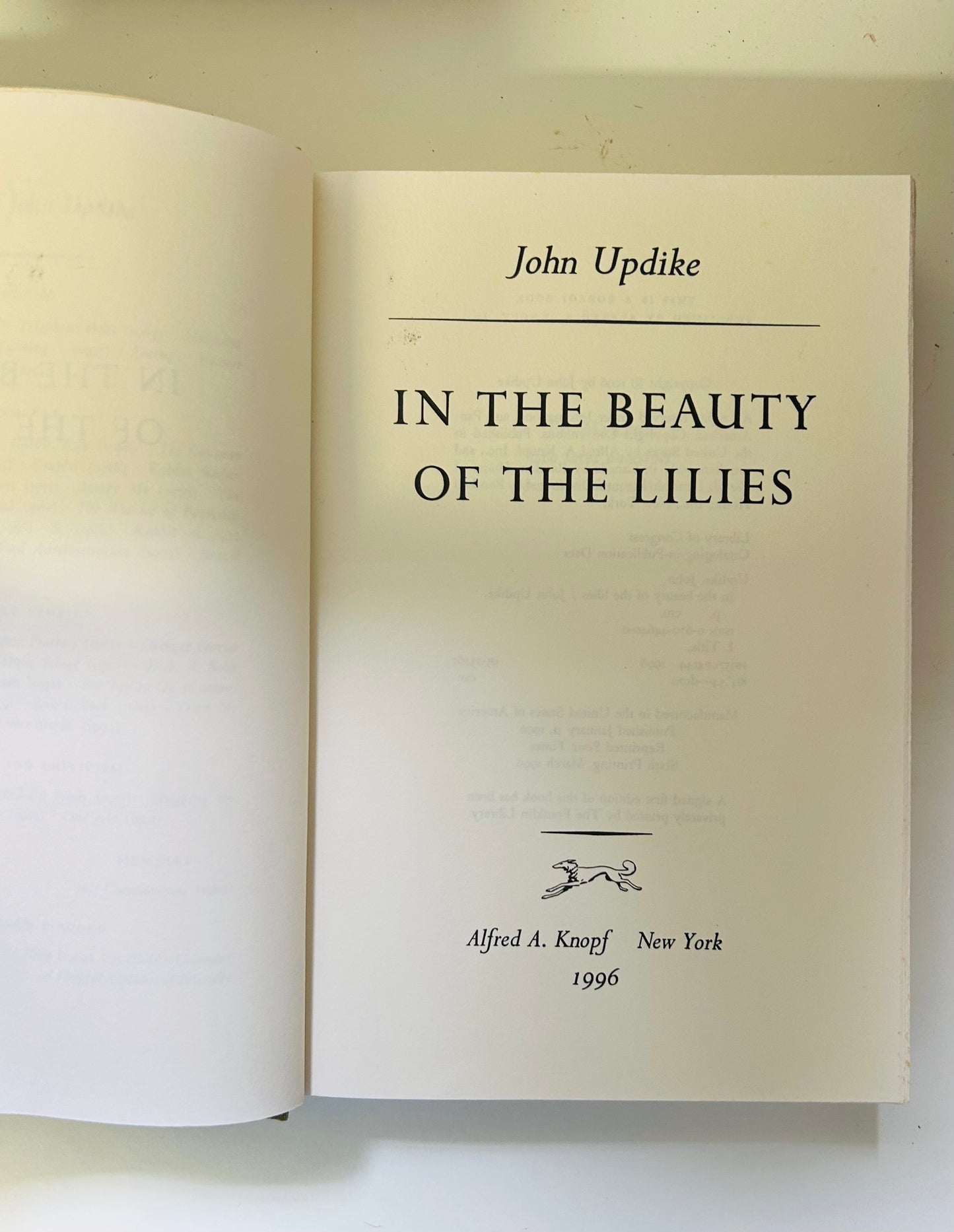 The Beauty of the Lilies