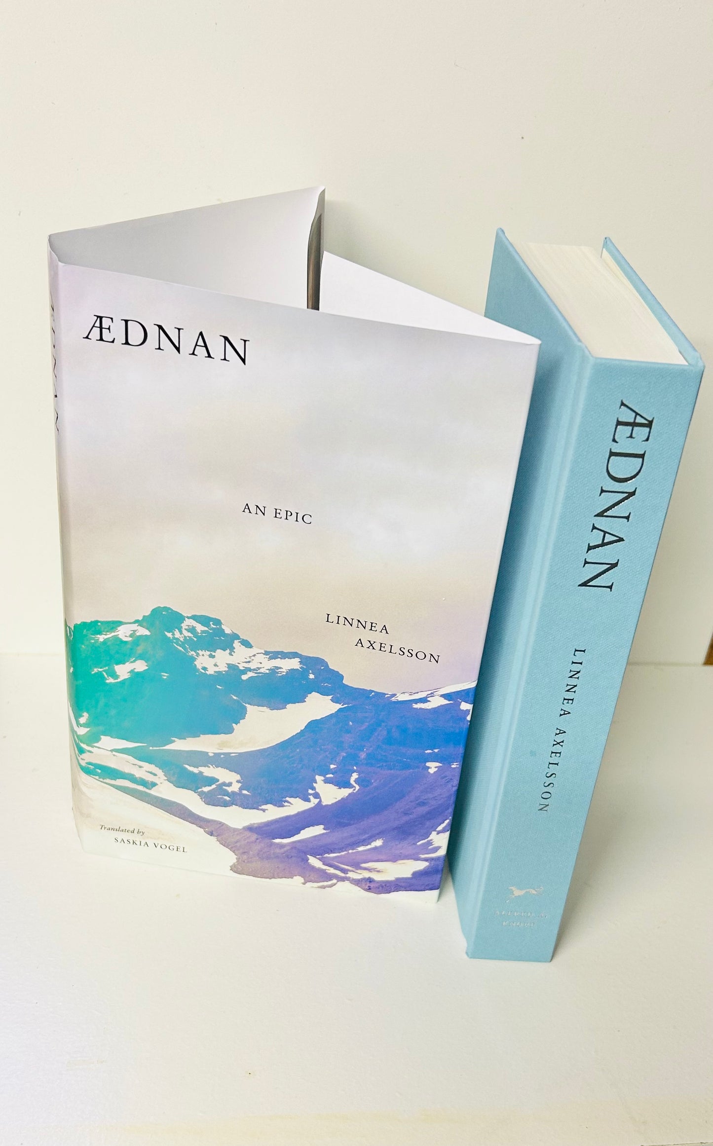 Aednan: An Epic