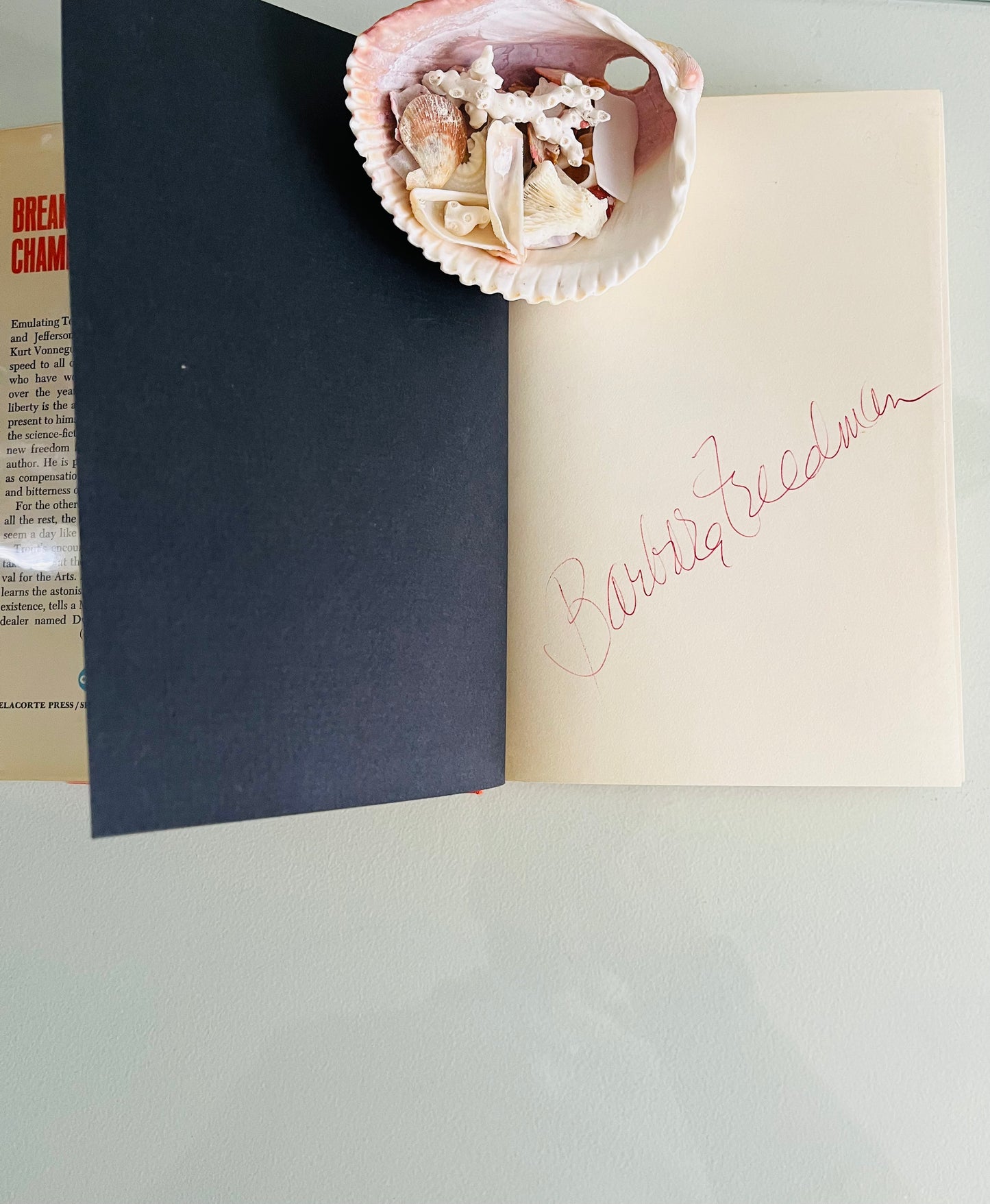 Breakfast of Champions