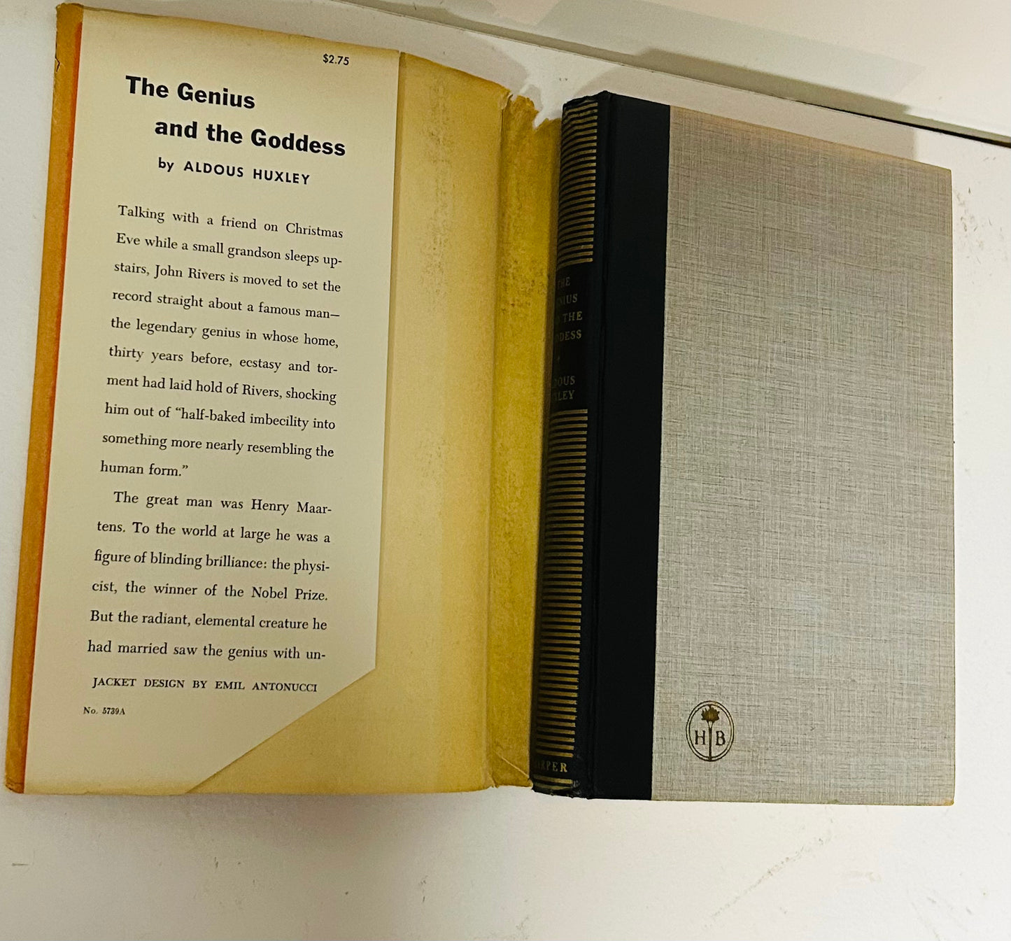 The Genius and the Goddess