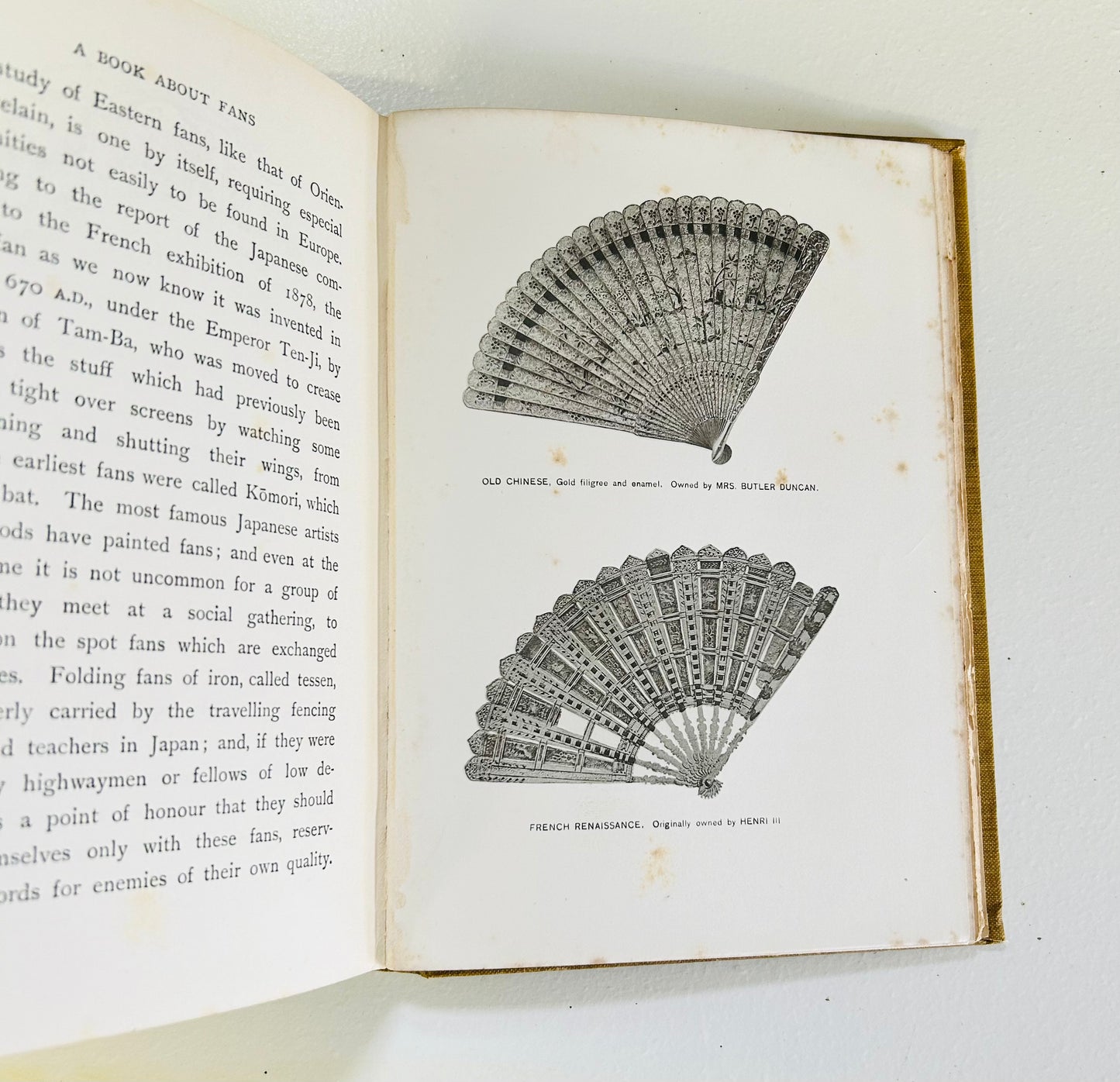 A Book About Fans