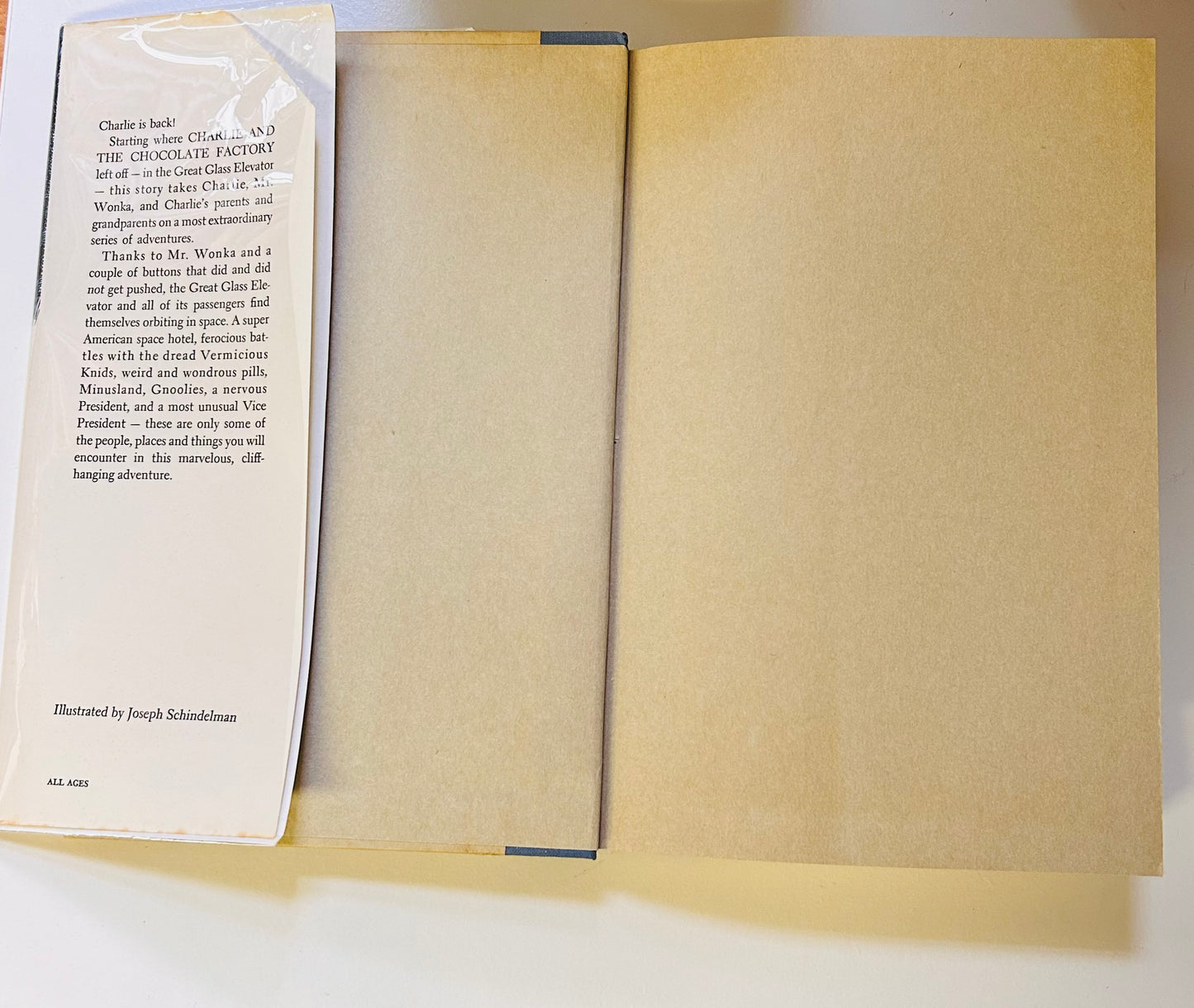 Charlie and the Great Glass Elevator