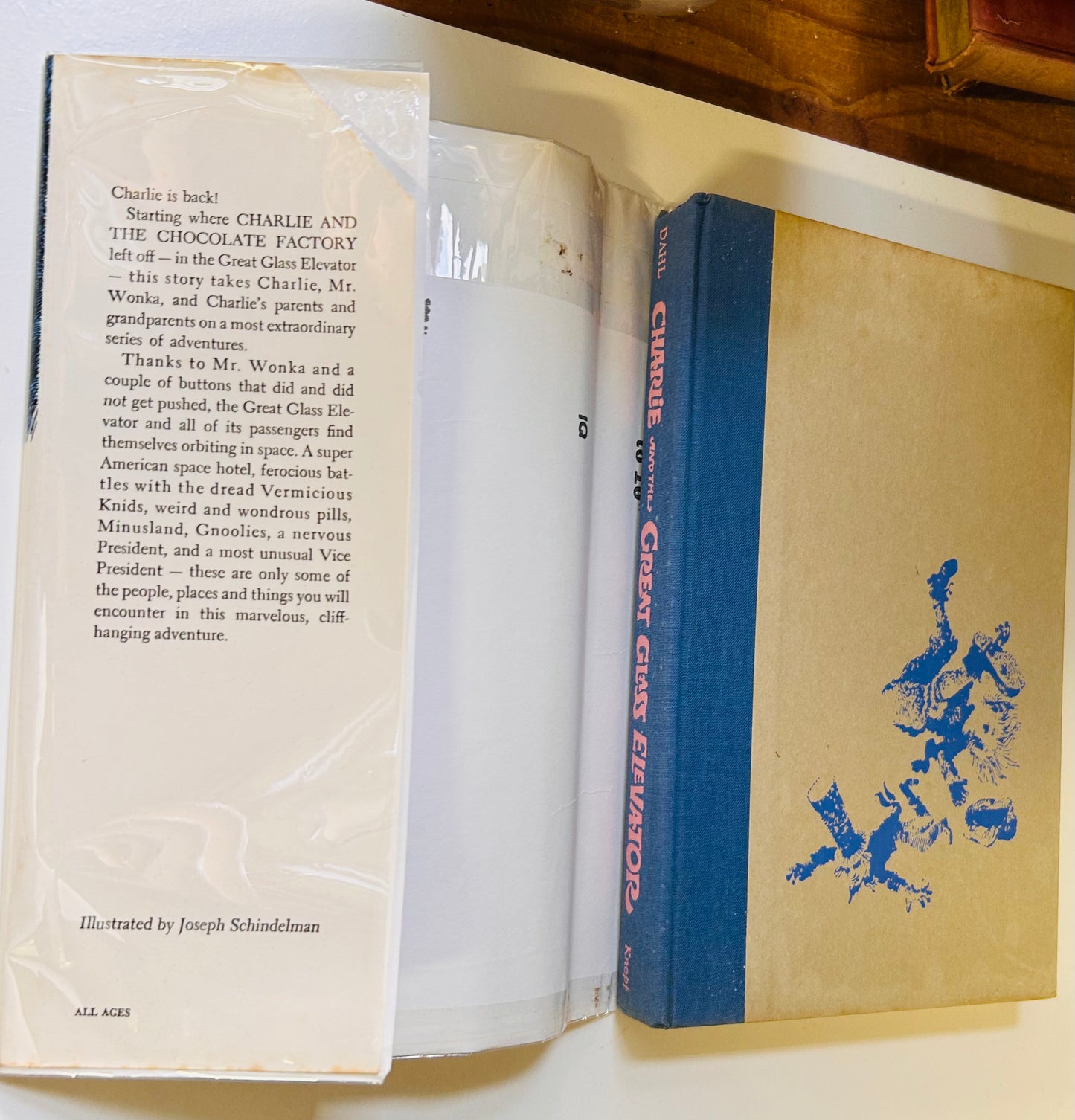 Charlie and the Great Glass Elevator